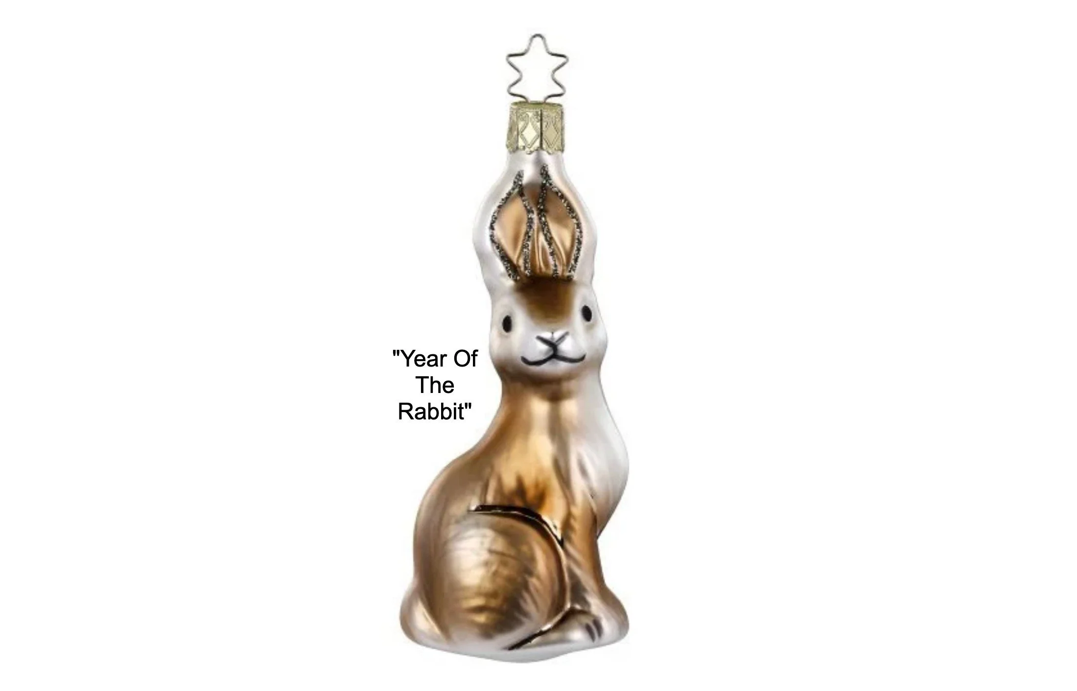 The year of the rabbit.jpg