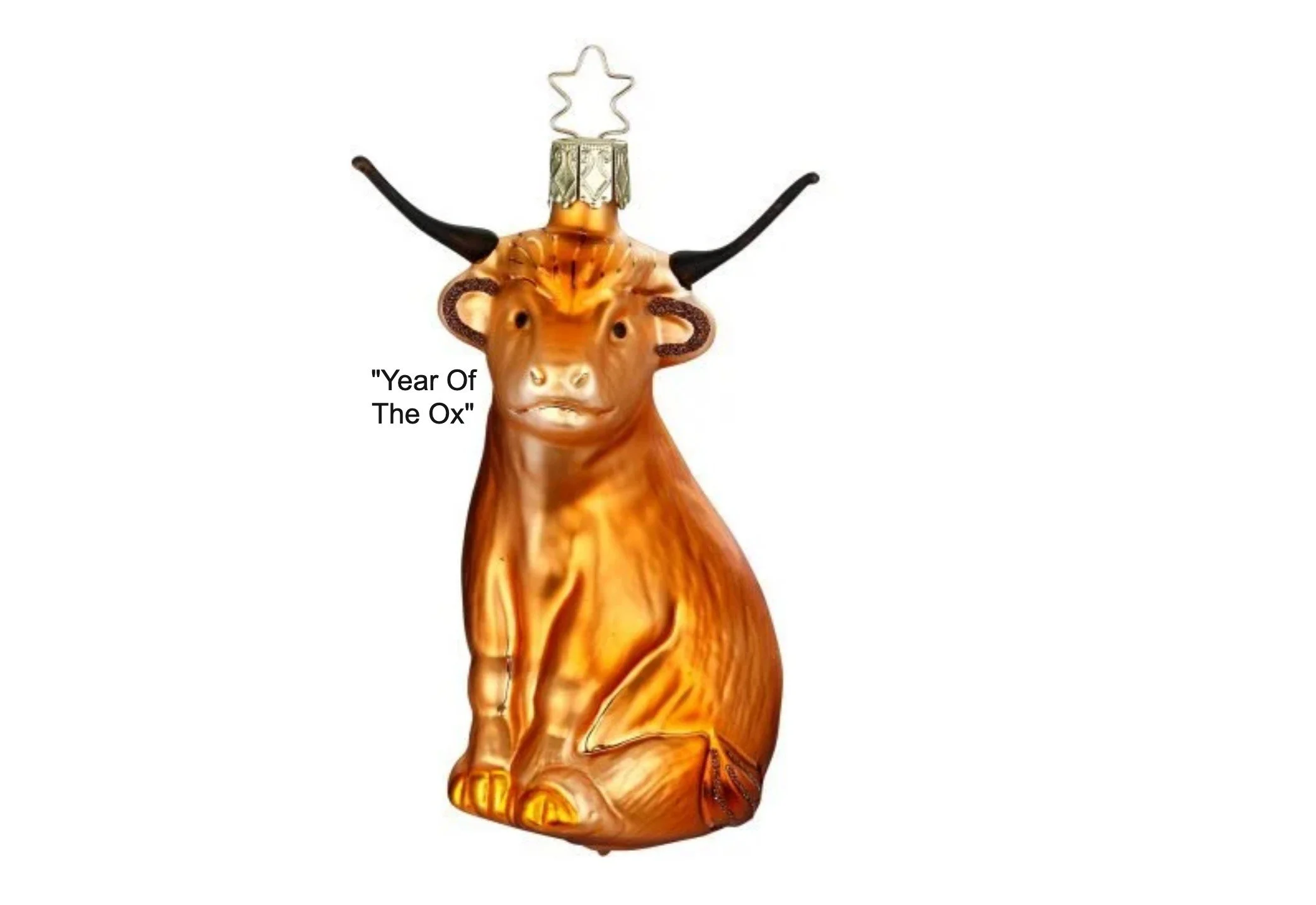 Year of the ox.jpg