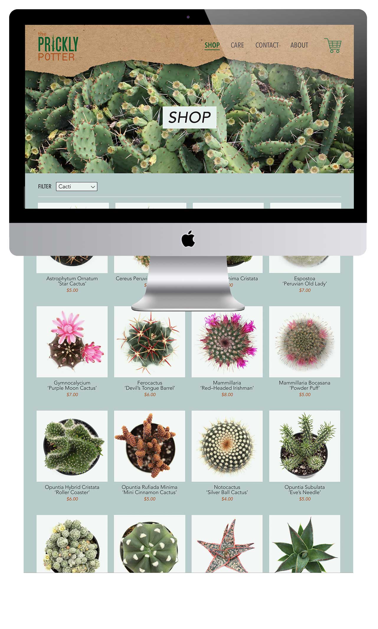 Prickly-Potter_Web_2.jpg