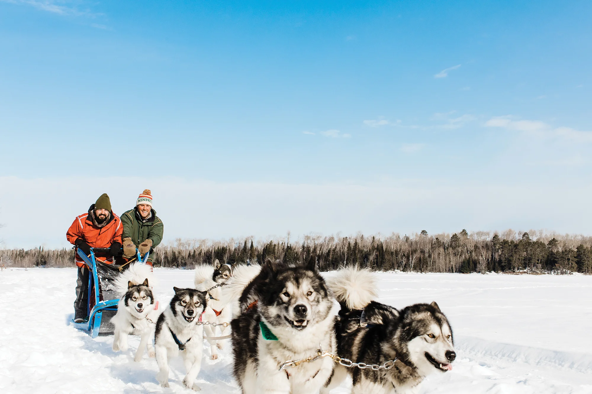 dog-sledding50.jpg