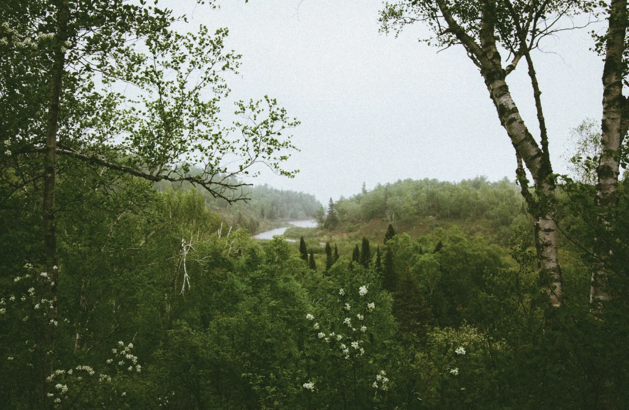 northshore5.jpg