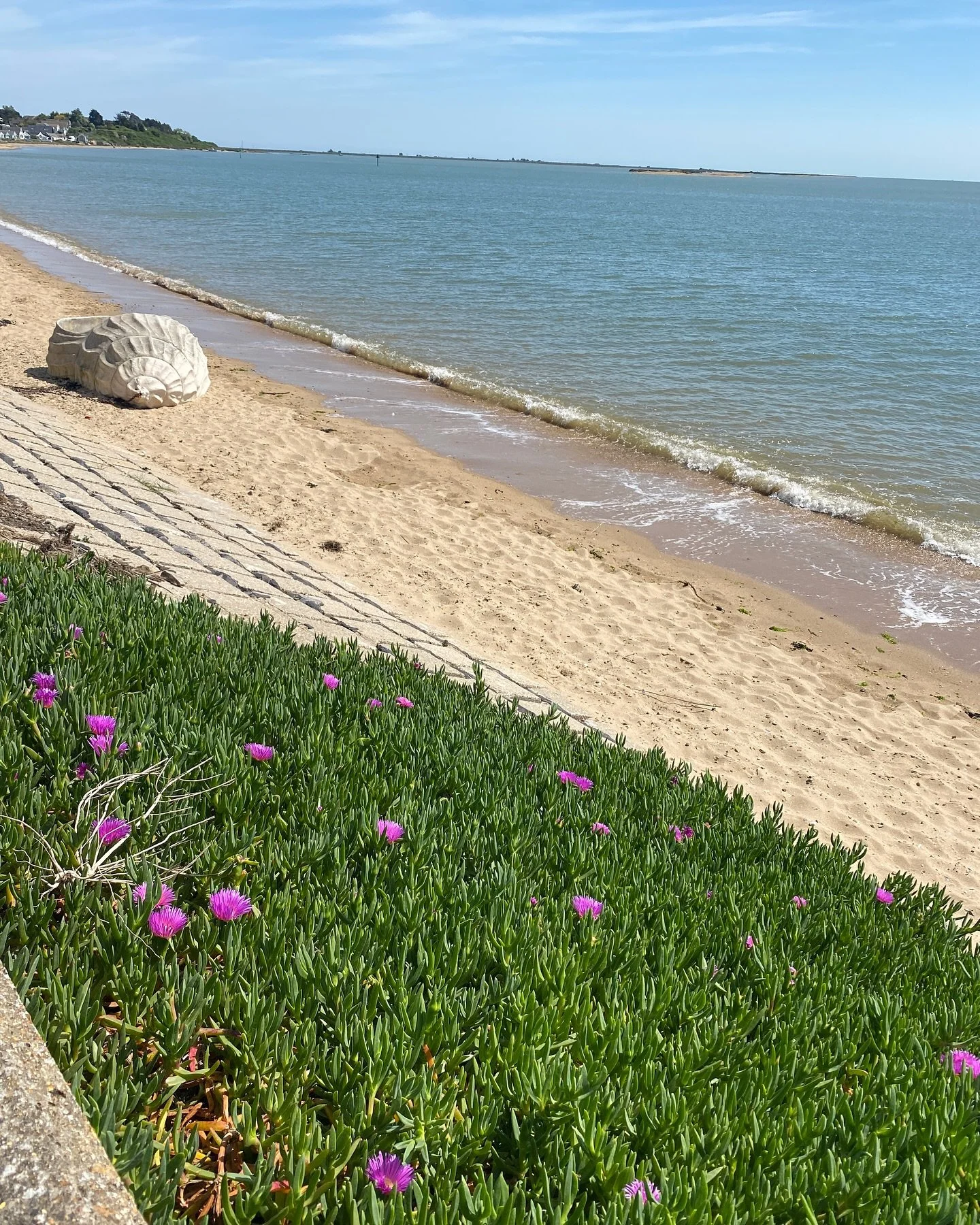 A different day. A different beach. 🏖️ 
A one-day writing retreat with some of my fave people.
