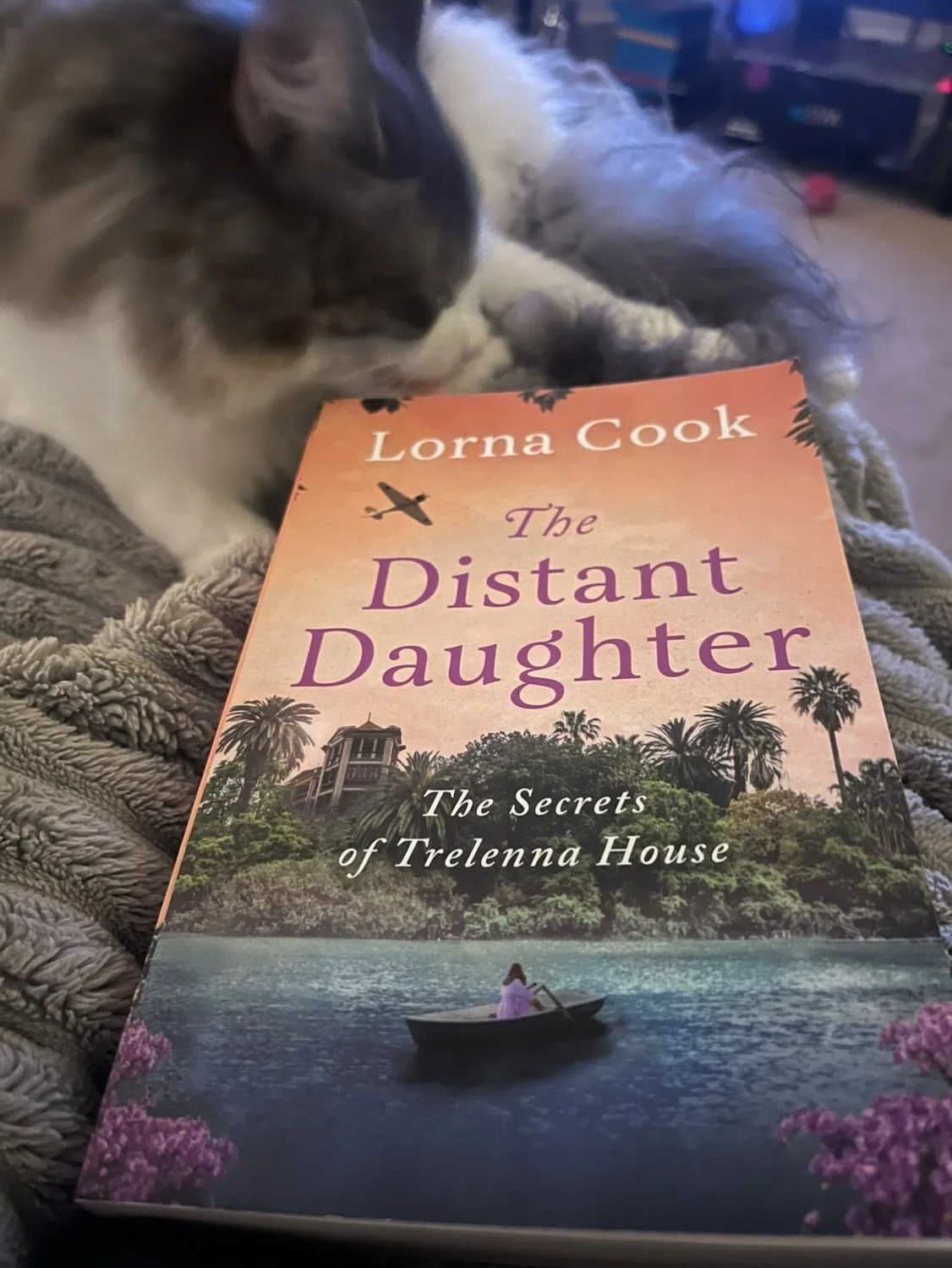 AUSTRALIA! It&rsquo;s your turn for a daily deal. The Distant Daughter is $1.49 for today only! 
And here&rsquo;s a lovely reader pic to illustrate!