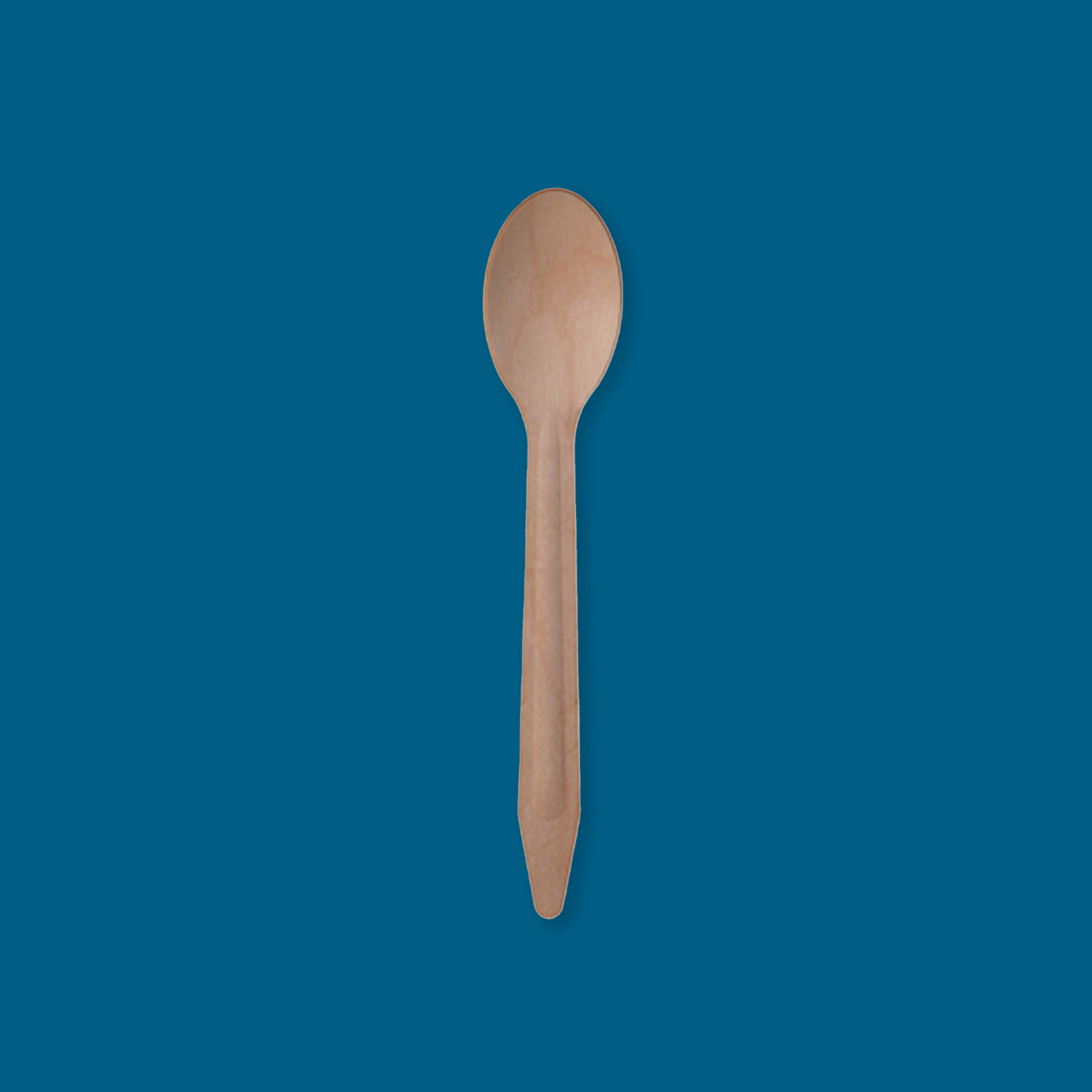 Wood Compostable Spoon