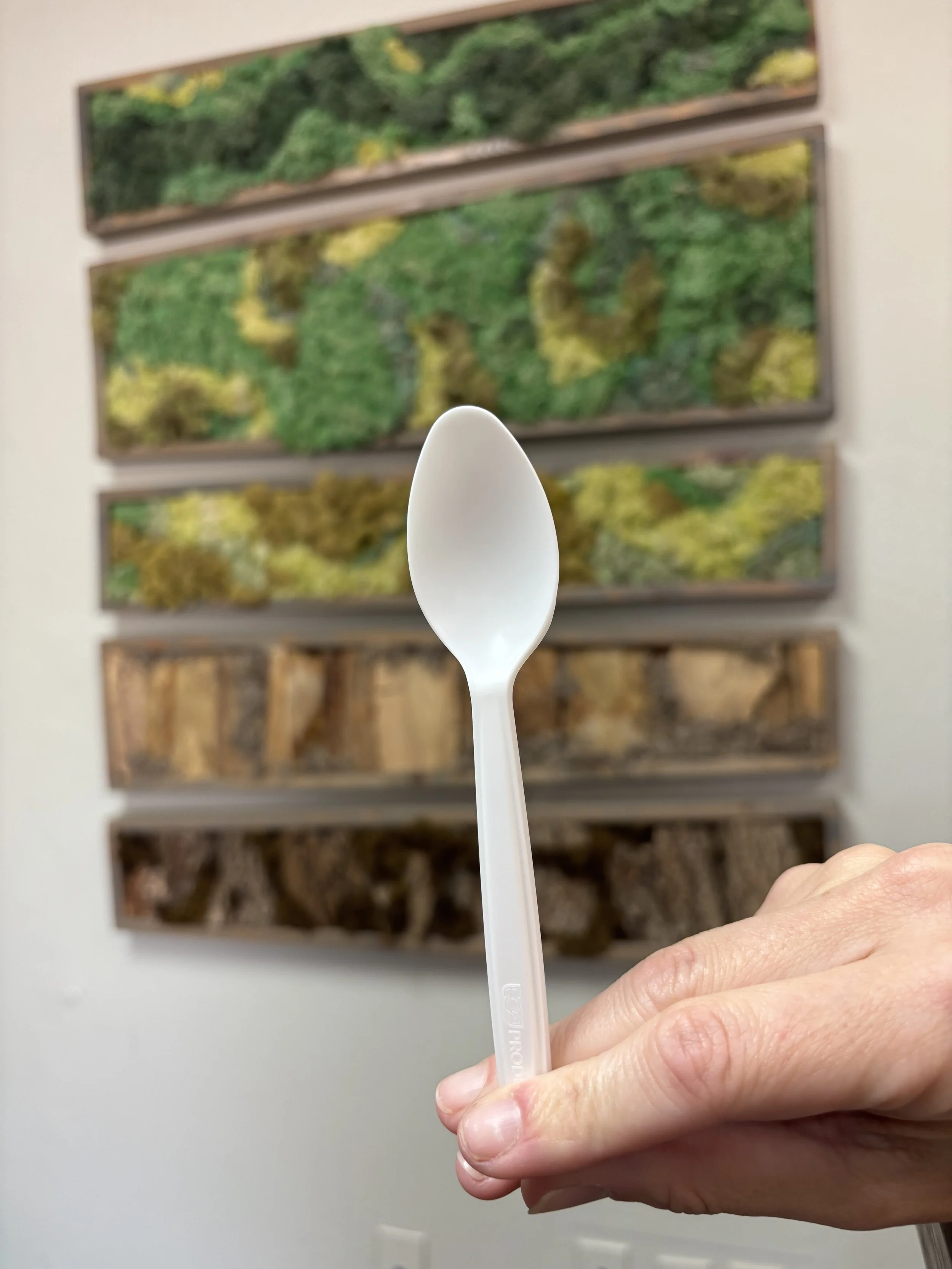 Plantware Spoon 6"