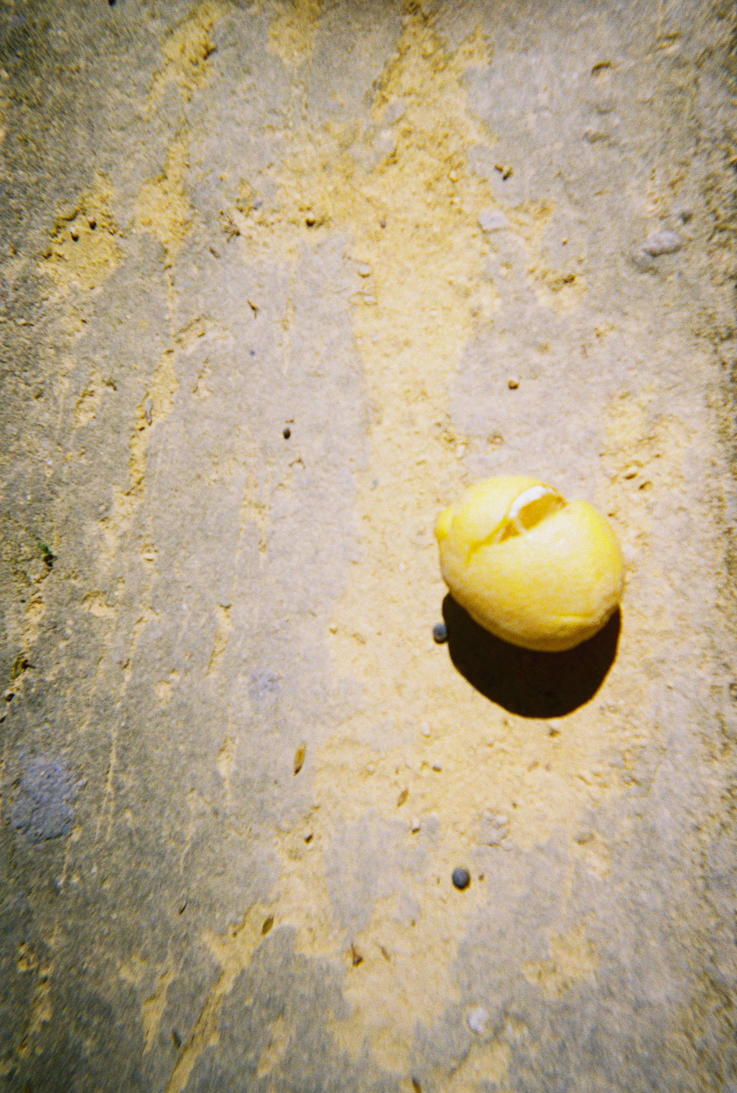 1154- 2021.09.10 - Laura Ponce - Kodak FunSaver -17.jpg