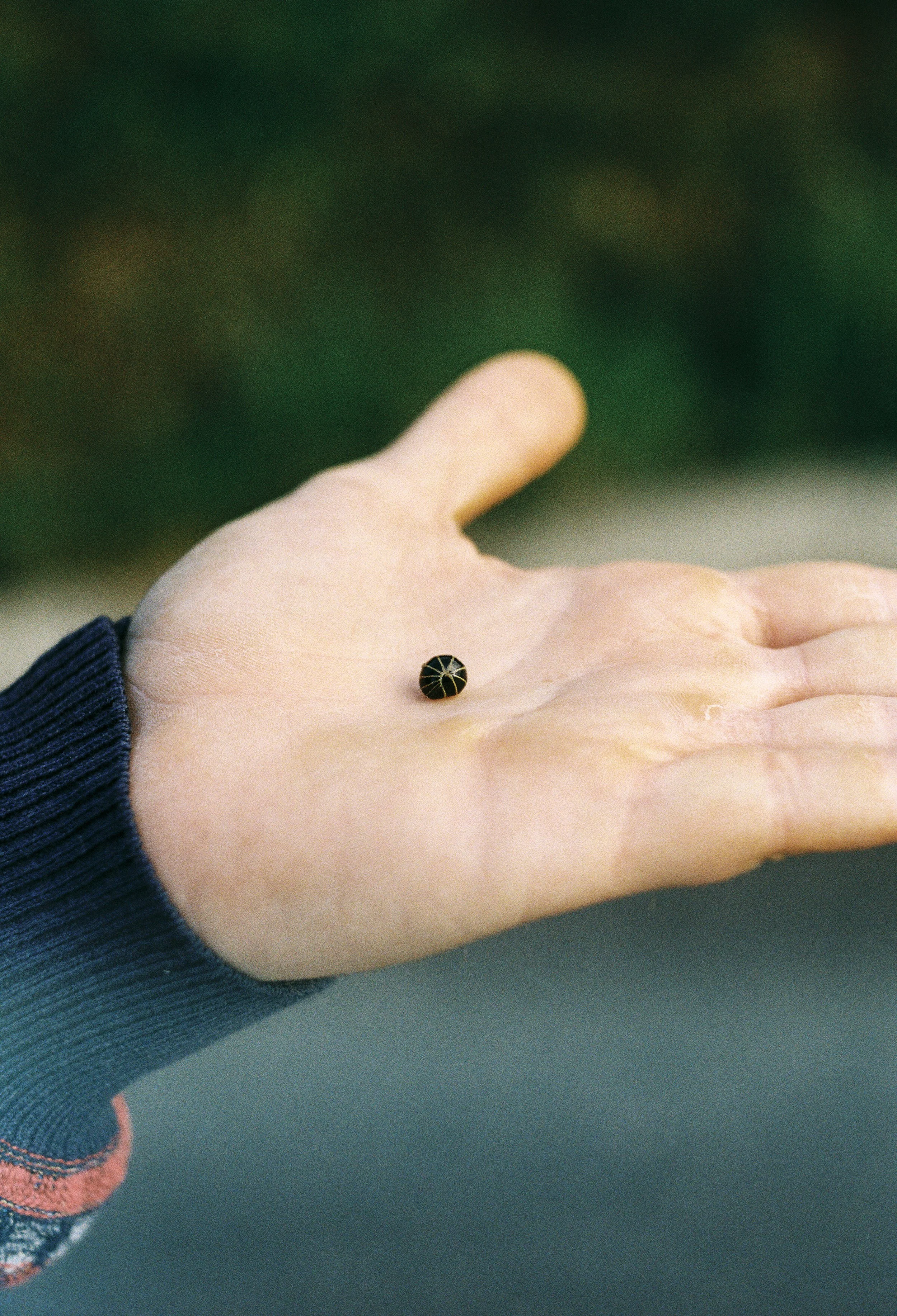 Personal_Laura Ponce012.jpg