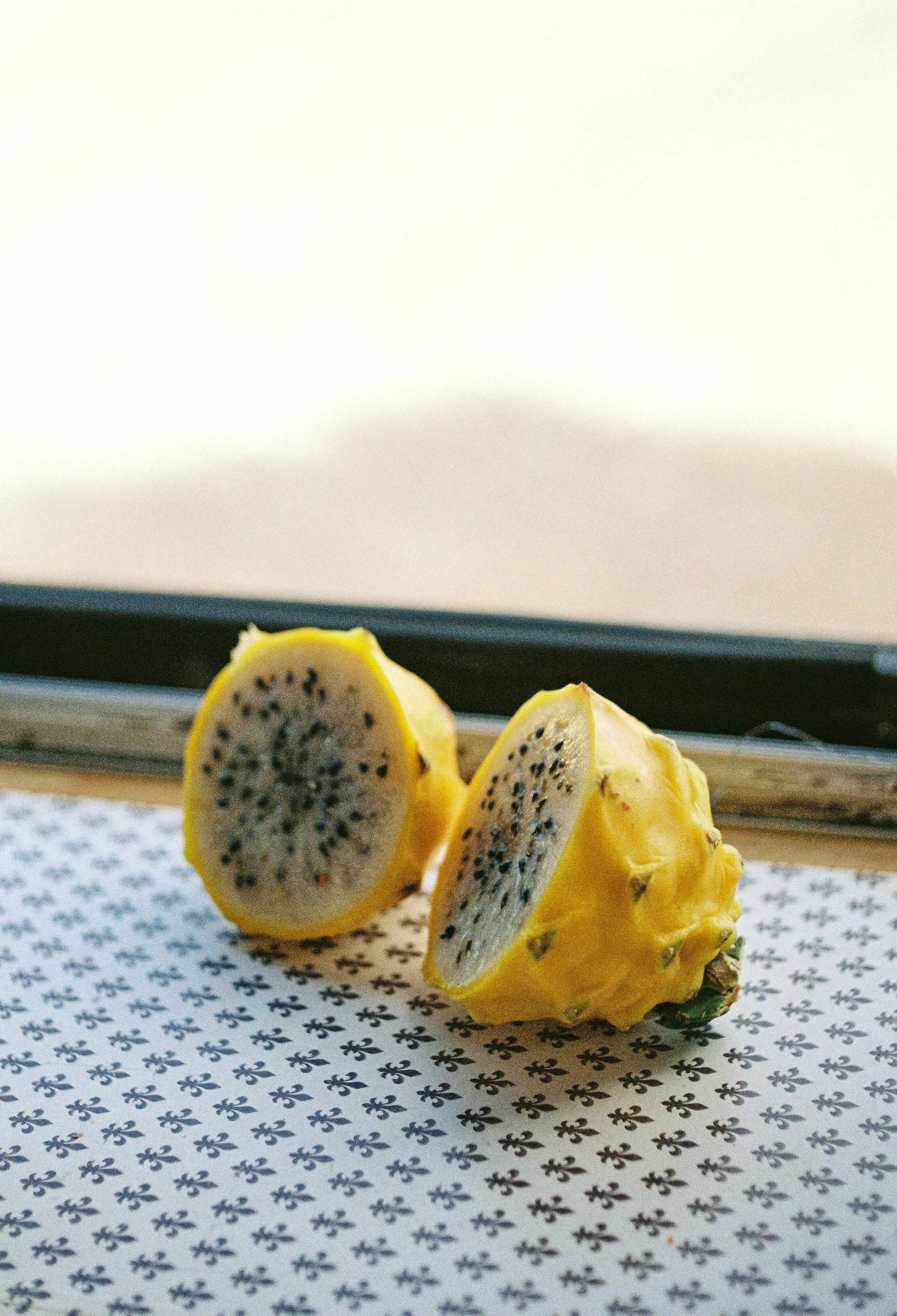 Personal_Laura Ponce006 1.jpg