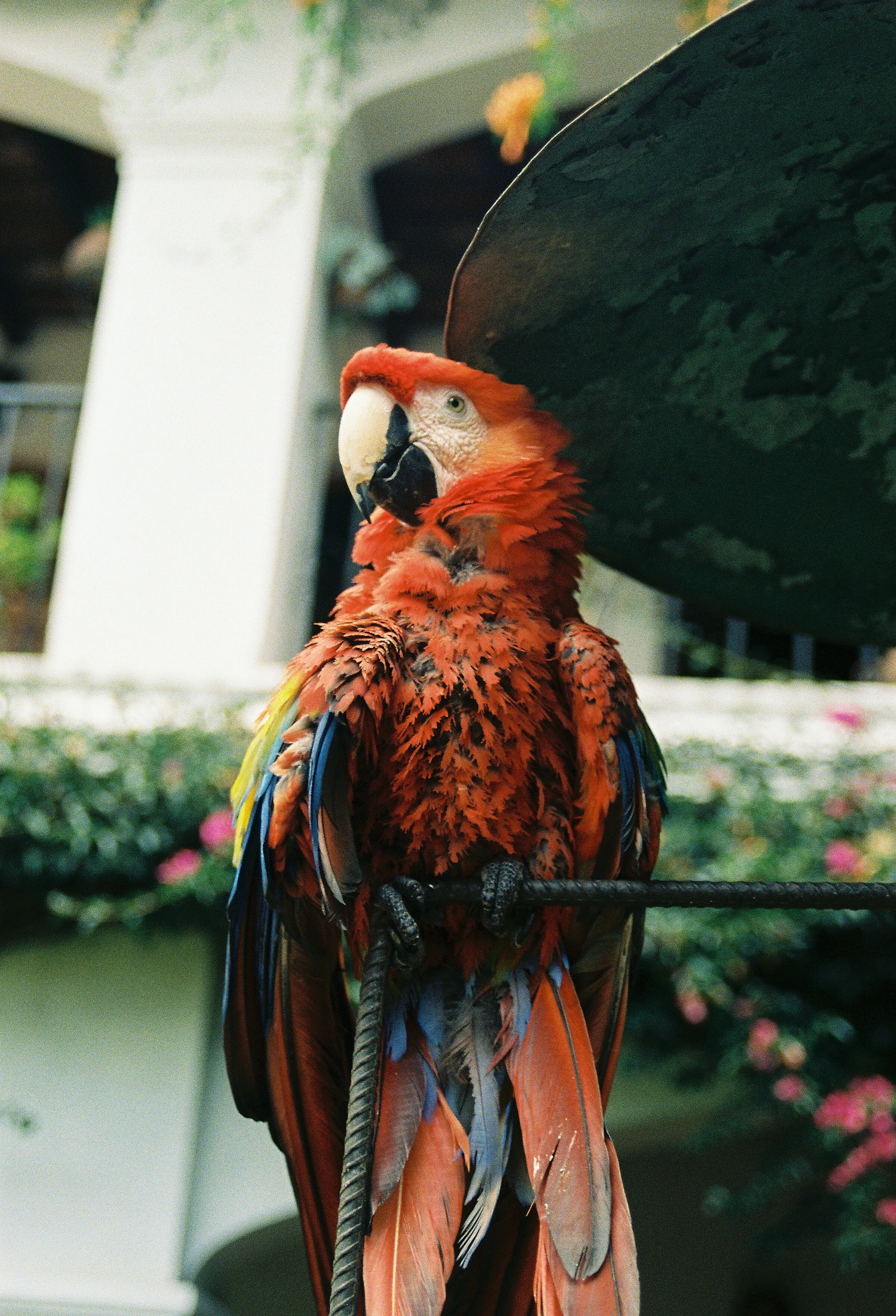 CON-23148_Copa_America_Vilanova_Laura Ponce052.jpg