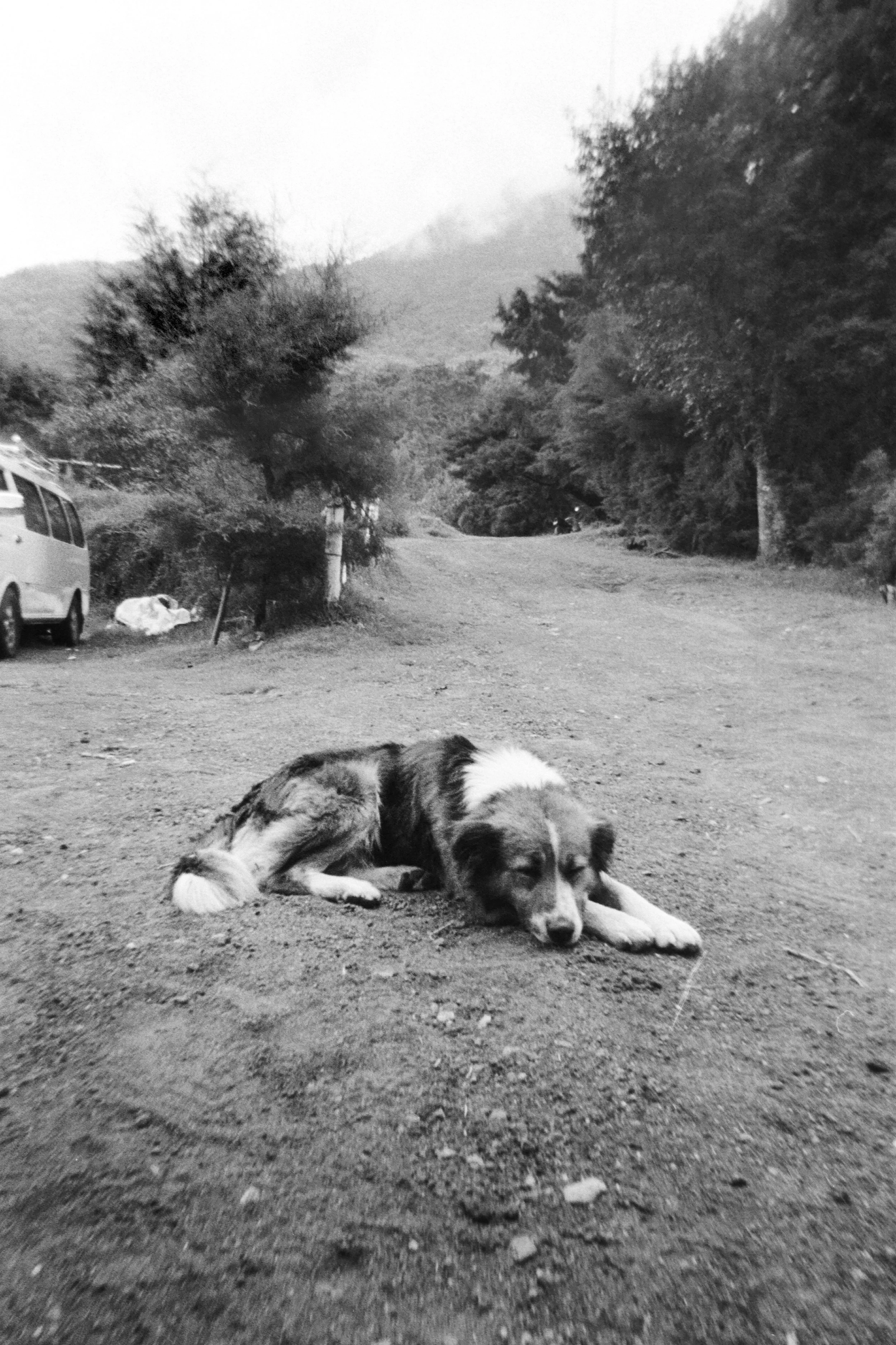 CON-23148_Copa_America_Vilanova_Laura Ponce142.jpg