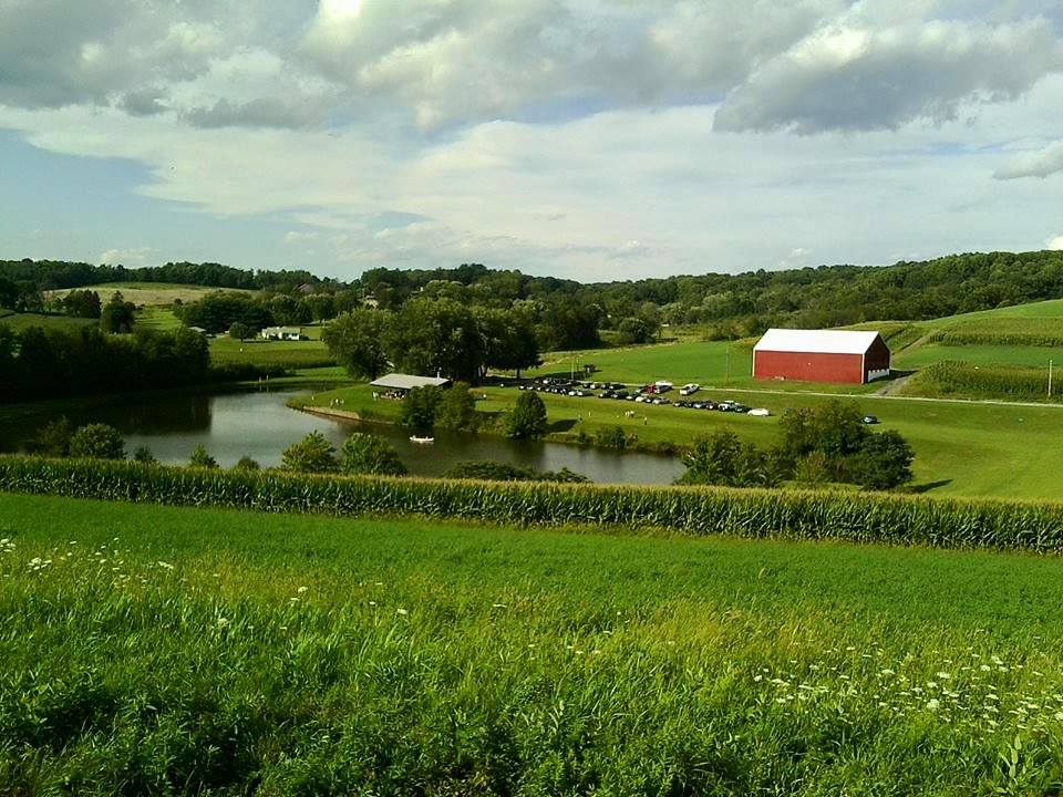 Turner's Farm.jpg