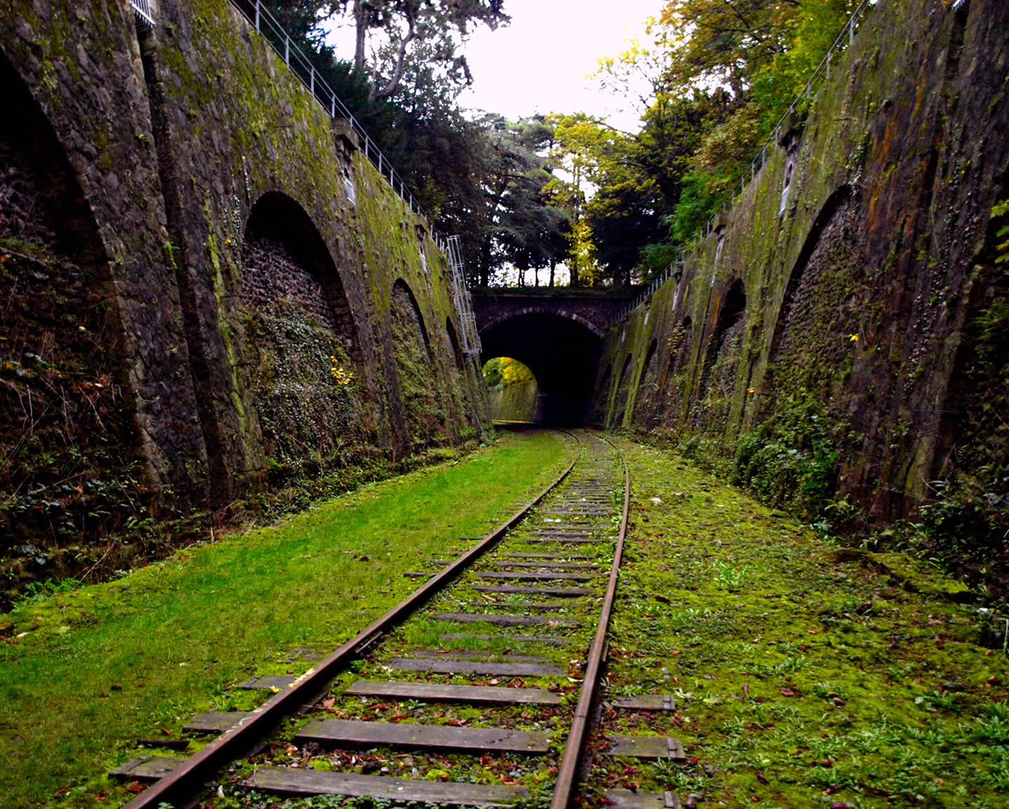 cicloturismo-ojos-negros1.jpg