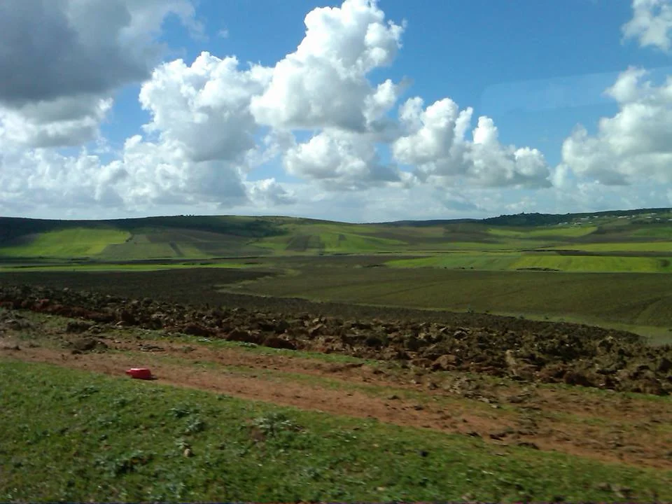 Moroccan farmland.