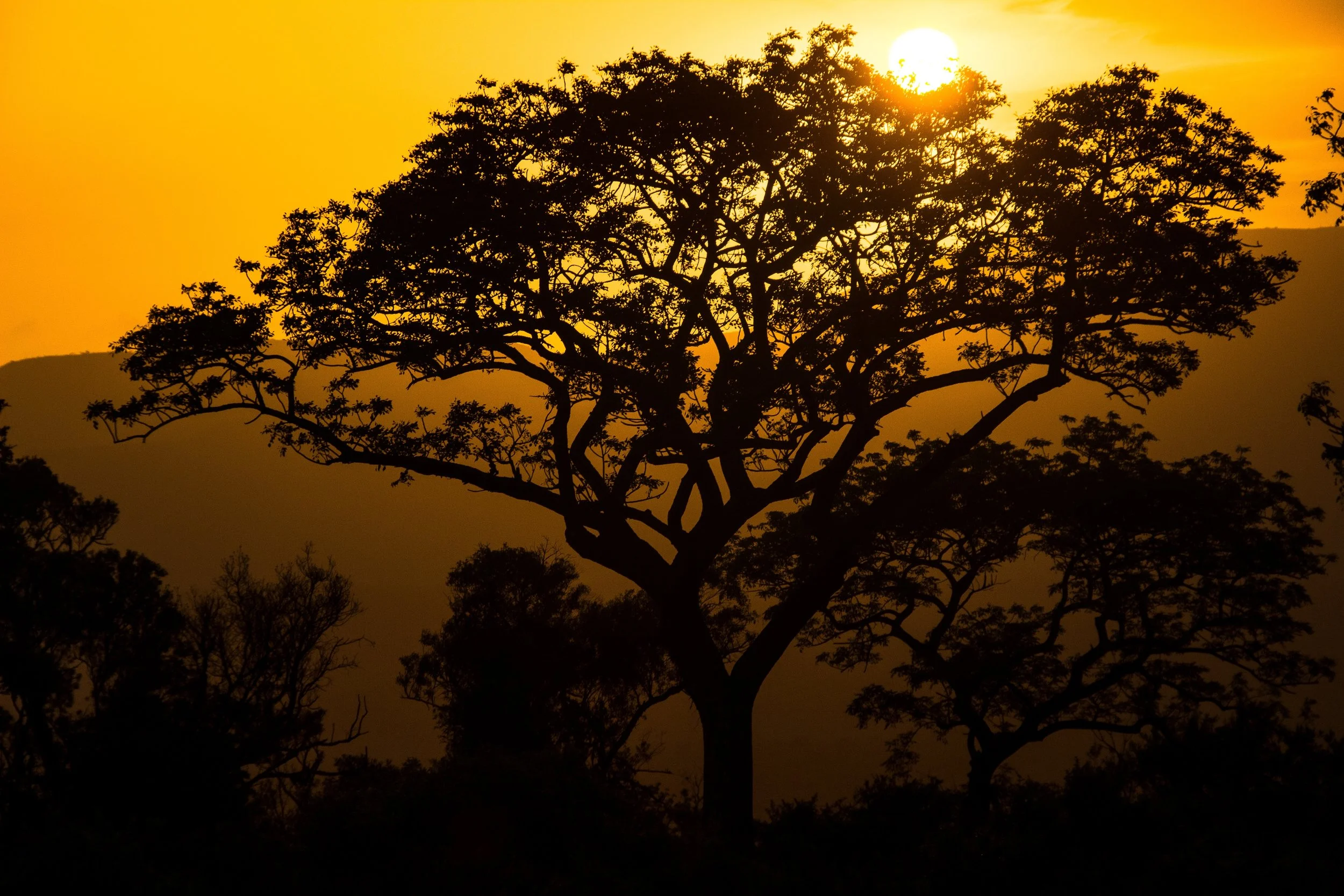 The ULTIMATE Africa Packing List Guide 