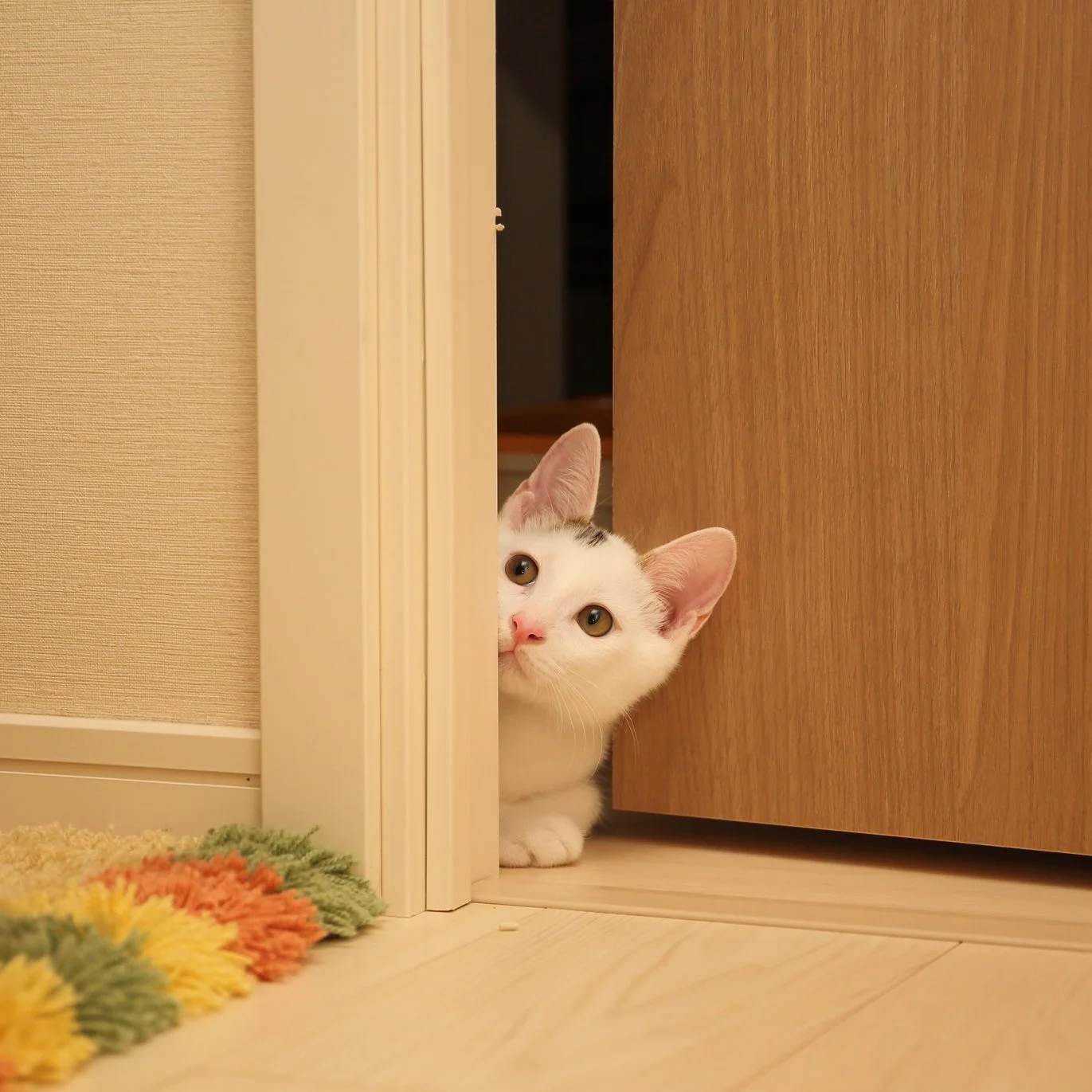 A Moment in the Closet