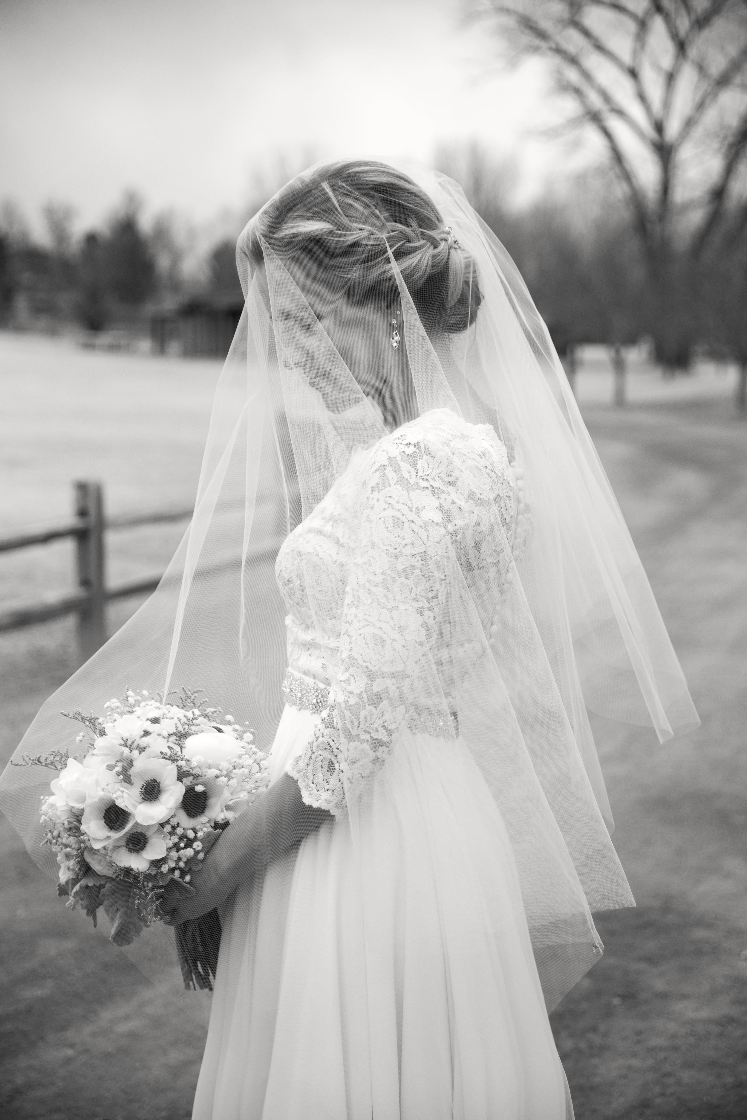 Black and White Bride Photo with Veil | Mary and Brad's Outdoor Wedding at Hudson Gardens | Colorado Springs, Colorado | Farm Wedding Photographer | Apollo Fields Wedding Photojournalism