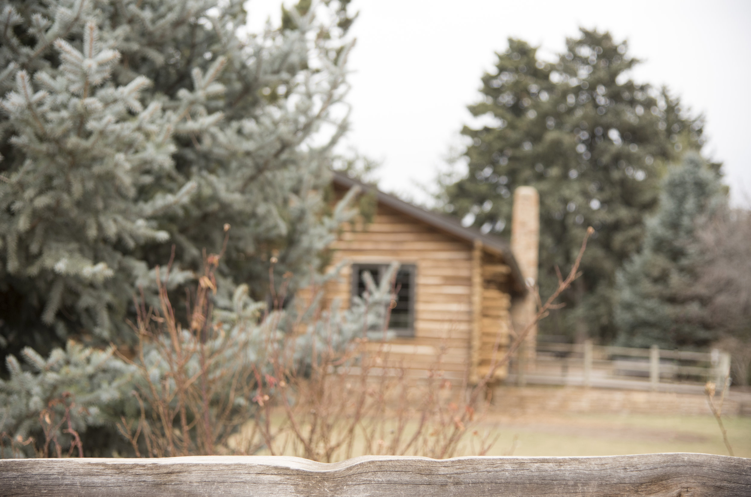 Rustic Reception Hall at Hudson Gardens | Mary and Brad's Outdoor Wedding Photography| Colorado Springs, Colorado | Farm Wedding Photographer | Apollo Fields Wedding Photojournalism