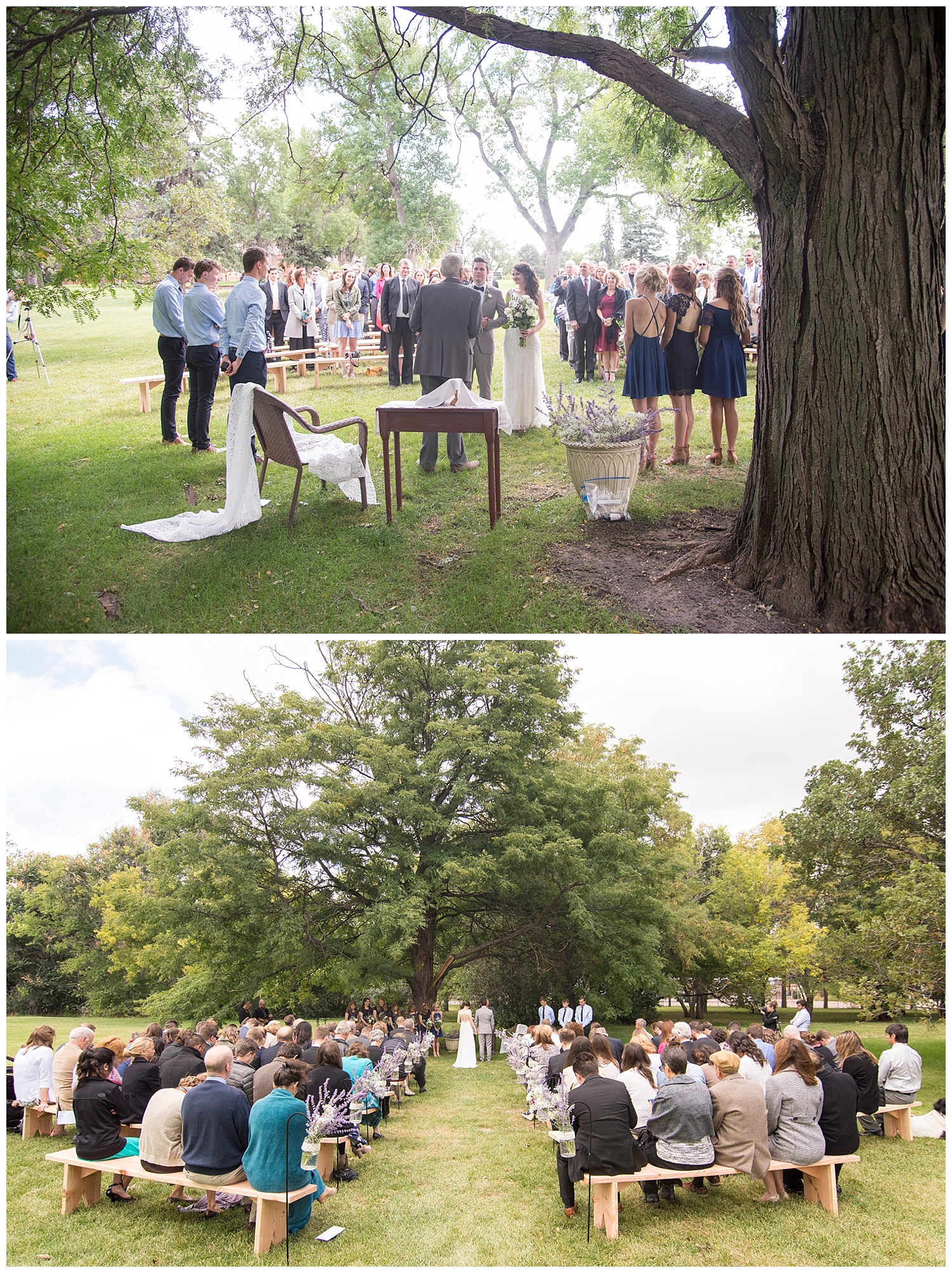 Intimate DIY Wedding Ceremony | Bethany and Jono's Intimate DIY Wedding | Colorado Springs Wedding Photographer | Farm Wedding Photographer | Apollo Fields Wedding Photojournalism