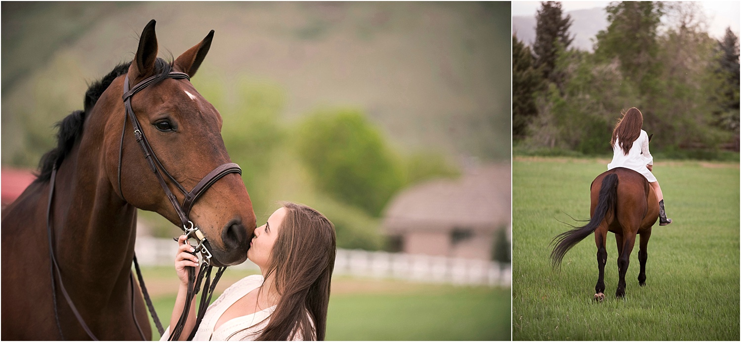 Horse_Photography_Equine_Equestrian_Photos_Portrait_Warmblood_004.jpg
