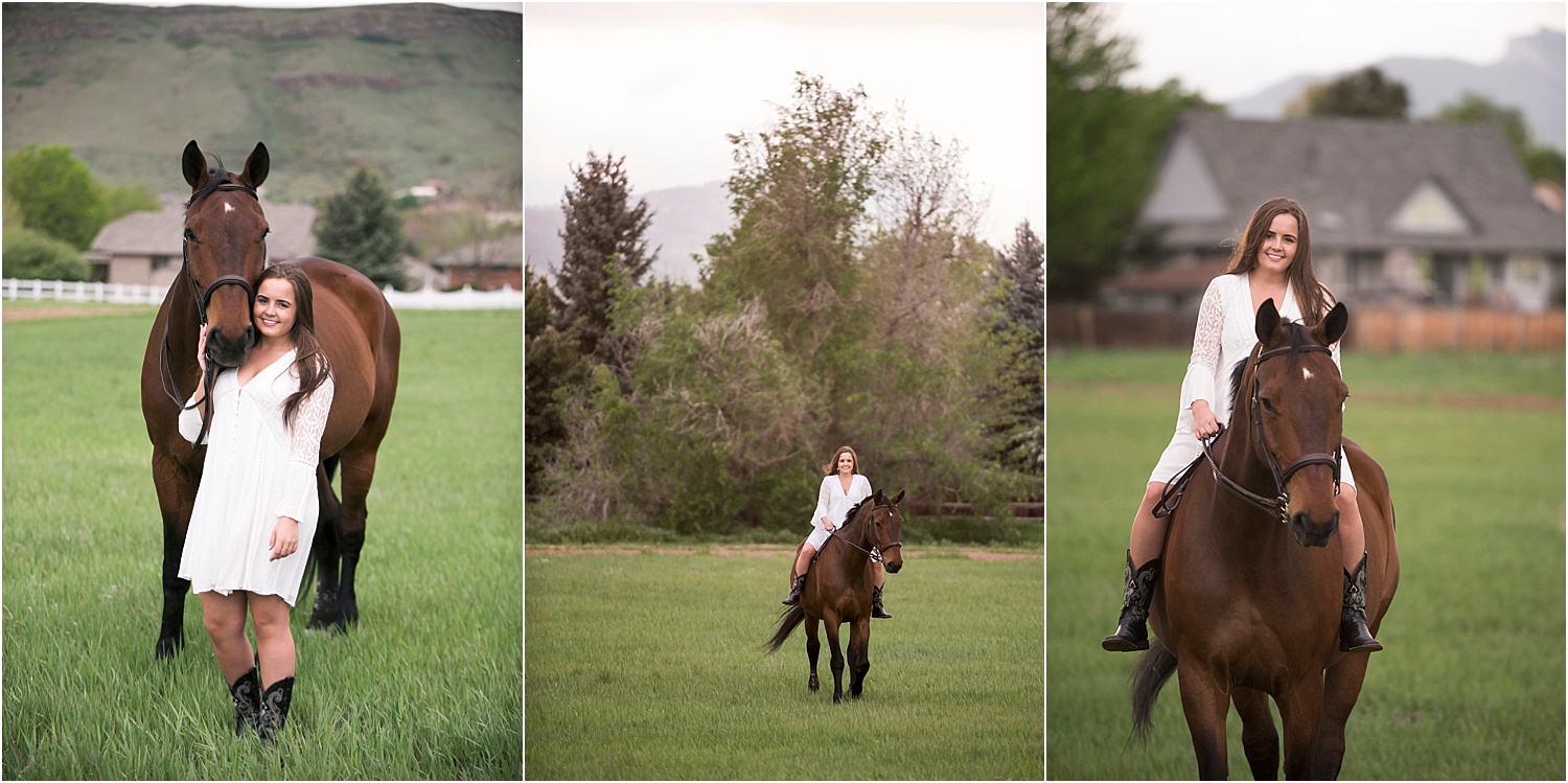 Horse_Photography_Equine_Equestrian_Photos_Portrait_Warmblood_003.jpg