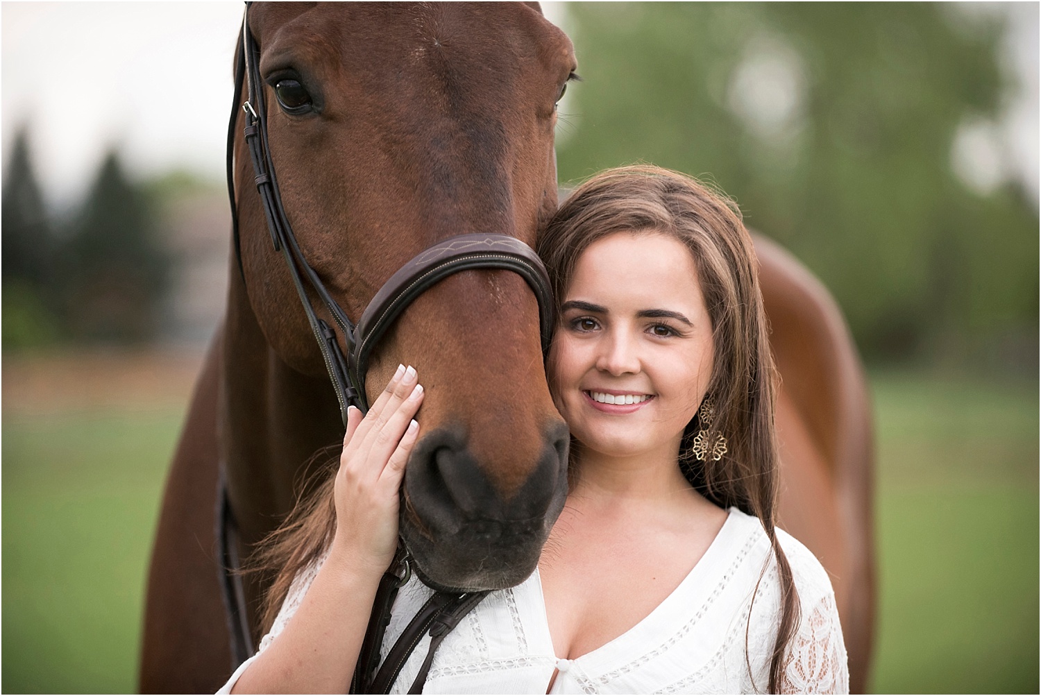 Horse_Photography_Equine_Equestrian_Photos_Portrait_Warmblood_009.jpg