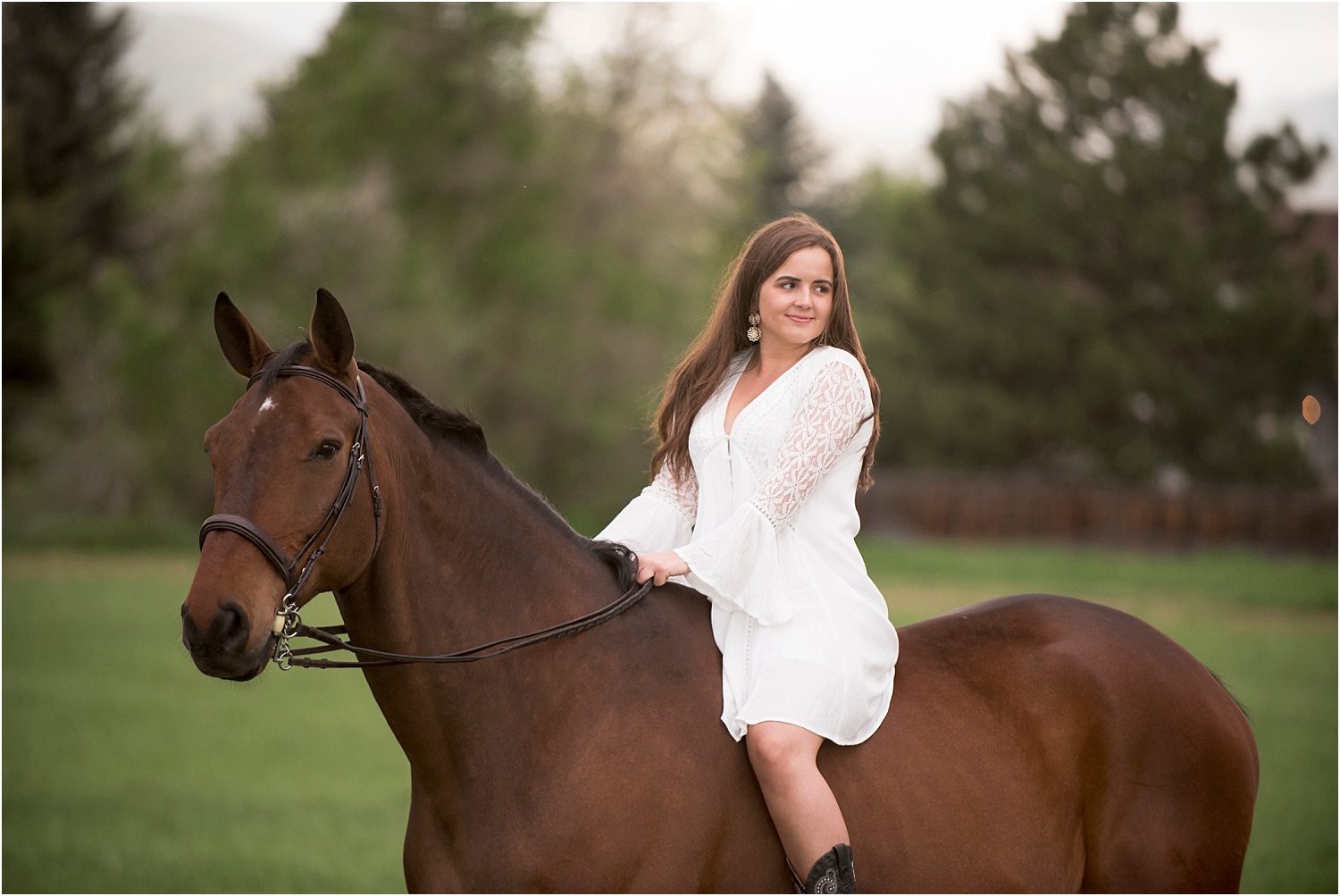 Horse_Photography_Equine_Equestrian_Photos_Portrait_Warmblood_007.jpg