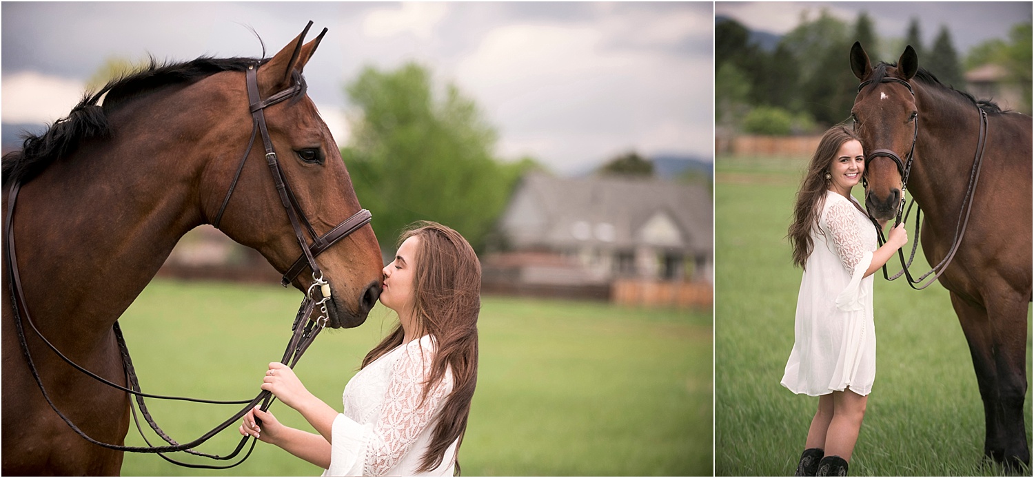 Horse_Photography_Equine_Equestrian_Photos_Portrait_Warmblood_001.jpg