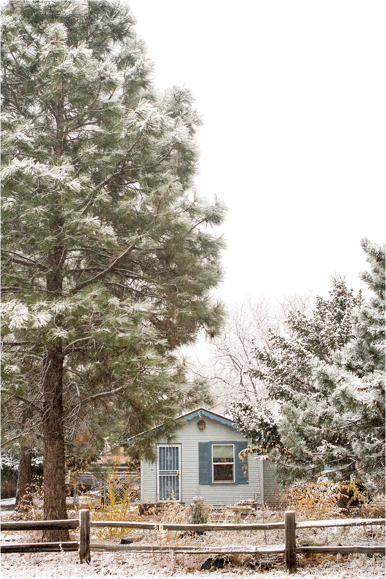 Our Cody Cottage
