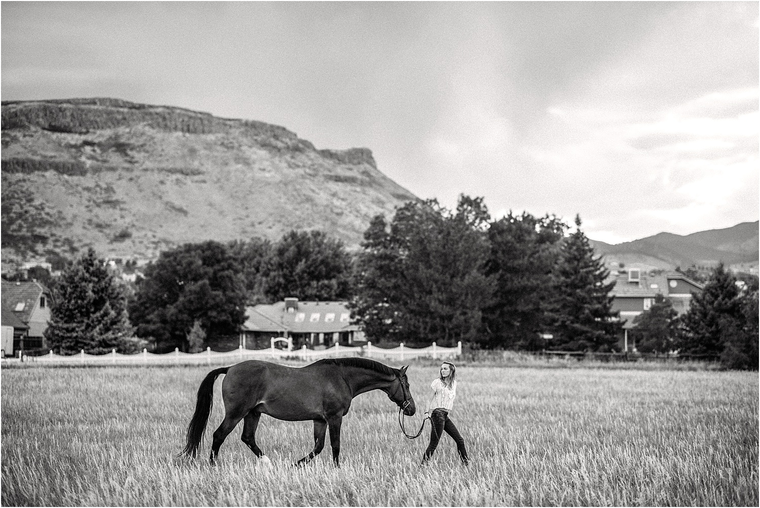 Limbo_Blog_Stomp_Horse_Photography_Equine_Warmblood_Portraits_002.jpg