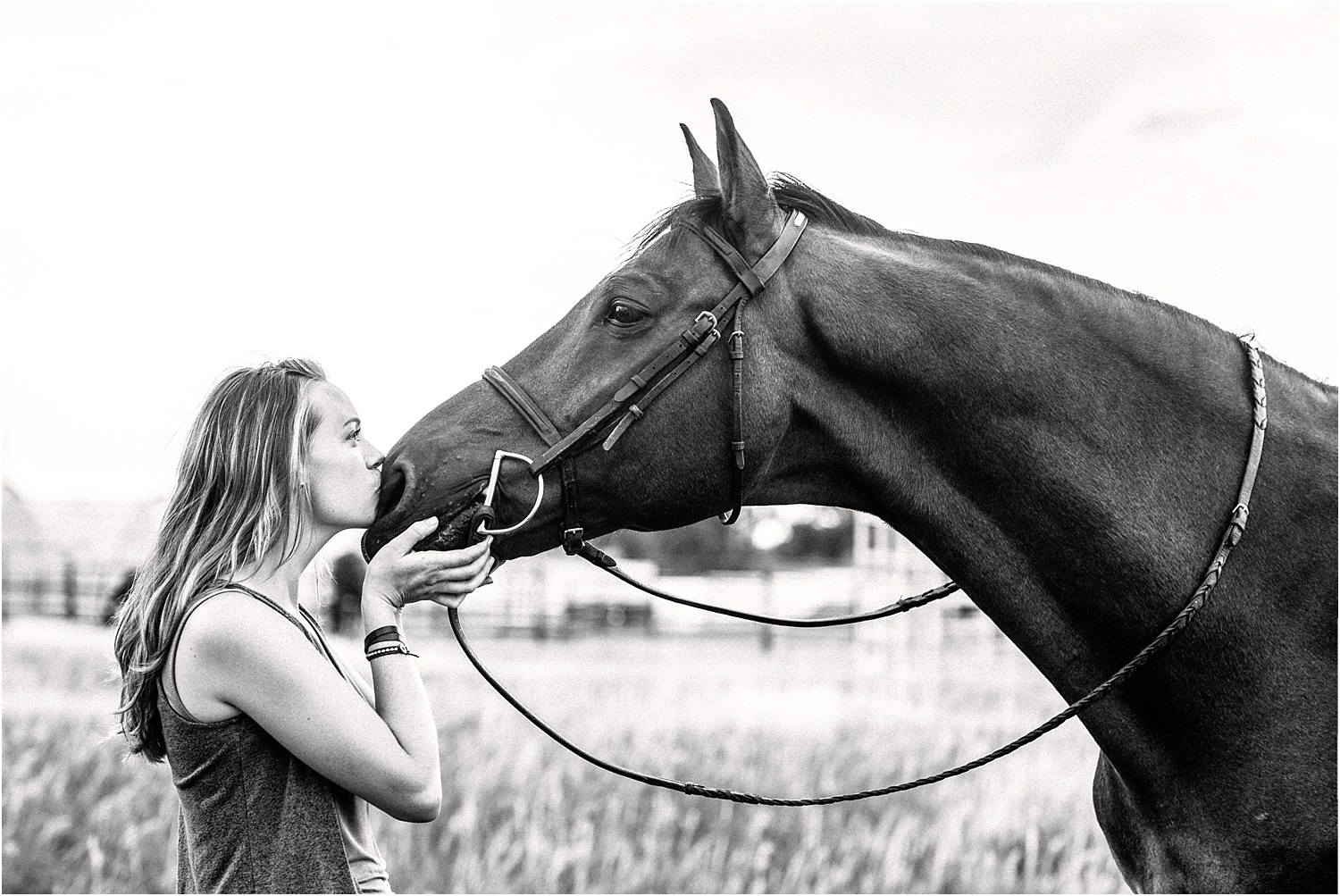Limbo_Blog_Stomp_Horse_Photography_Equine_Warmblood_Portraits_005.jpg