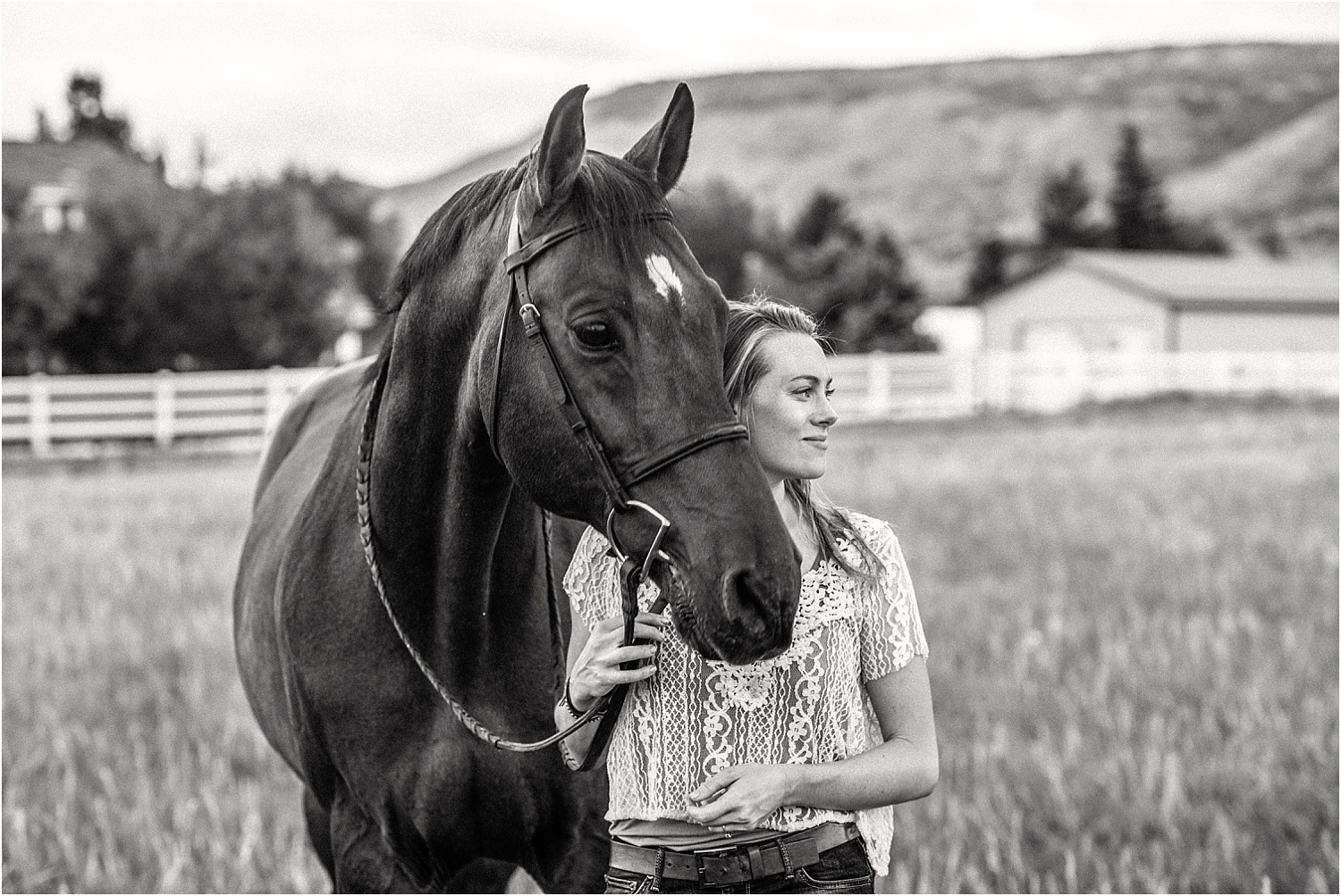 Limbo_Blog_Stomp_Horse_Photography_Equine_Warmblood_Portraits_008.jpg