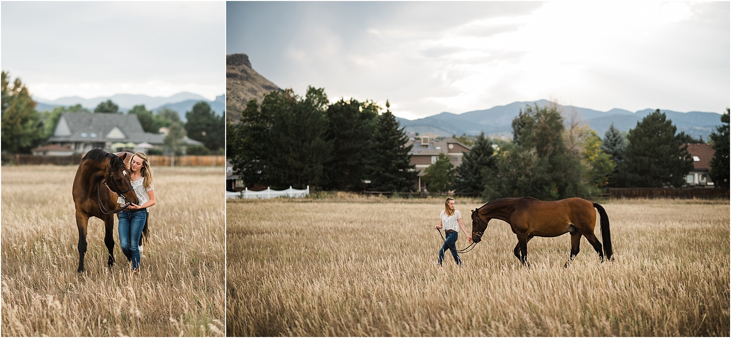 Limbo_Blog_Stomp_Horse_Photography_Equine_Warmblood_Portraits_009.jpg