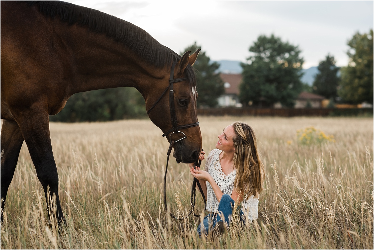 Limbo_Blog_Stomp_Horse_Photography_Equine_Warmblood_Portraits_010.jpg
