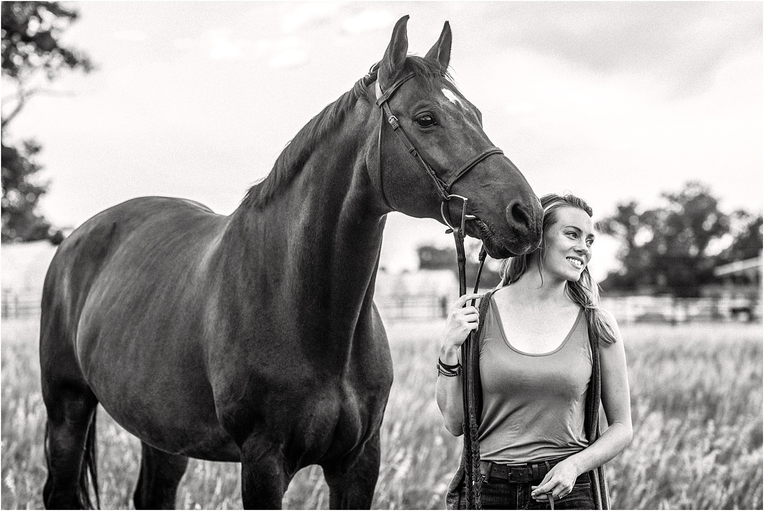 Limbo_Blog_Stomp_Horse_Photography_Equine_Warmblood_Portraits_020.jpg