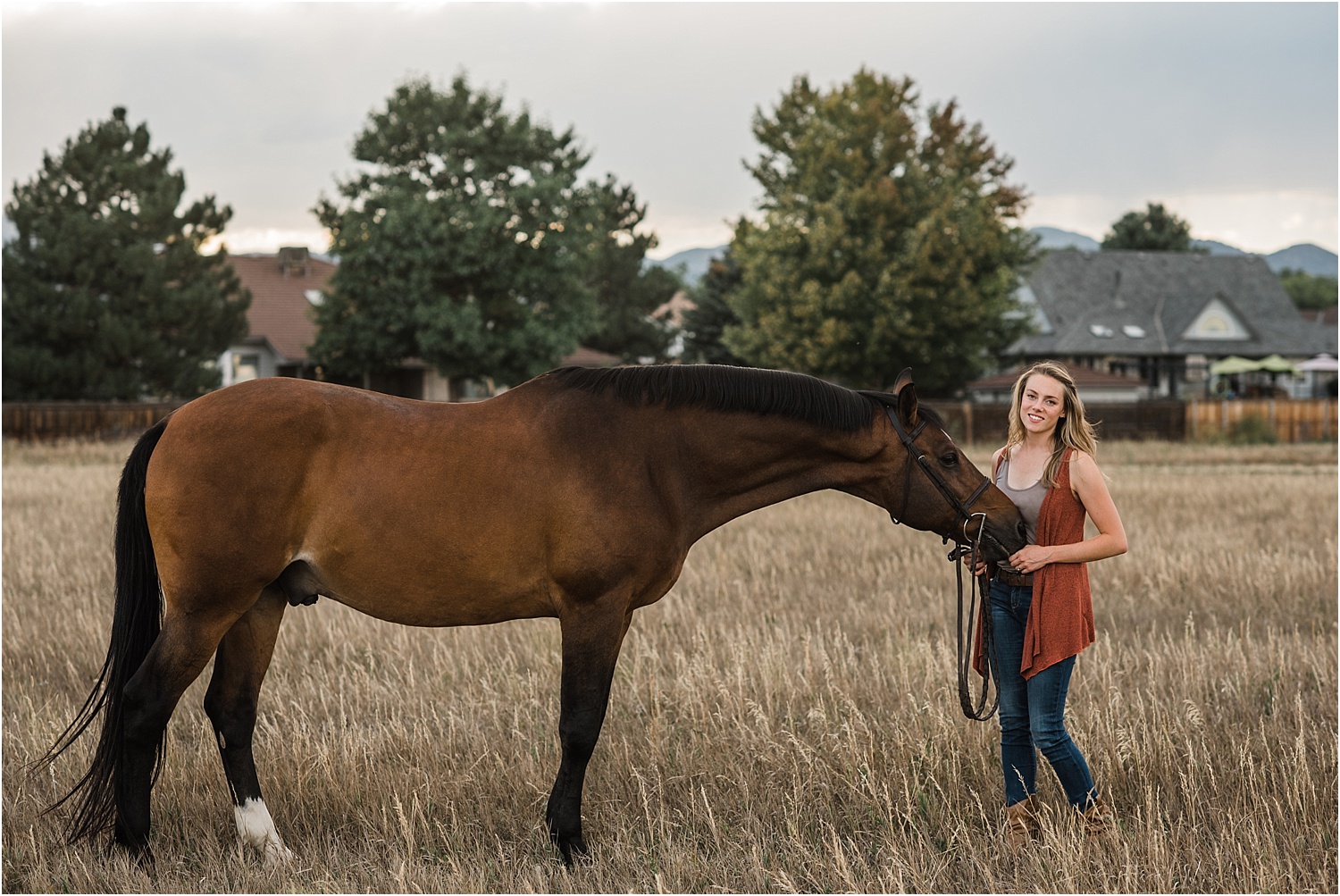 Limbo_Blog_Stomp_Horse_Photography_Equine_Warmblood_Portraits_027.jpg