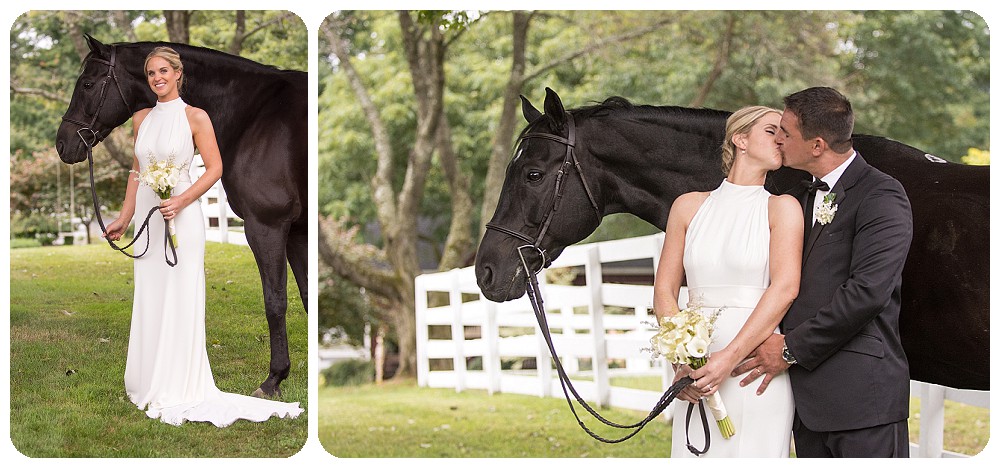 Horse Portrait Upstate NY Wedding Venues Farm Weddings