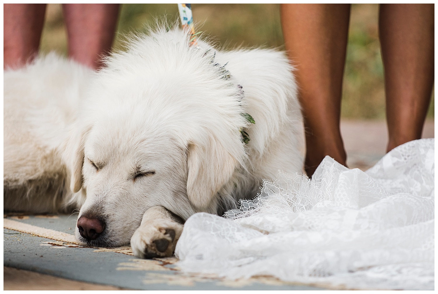 Gold_Hill_Inn_Wedding_Boulder_CO_Apollo_Fields_409.jpg