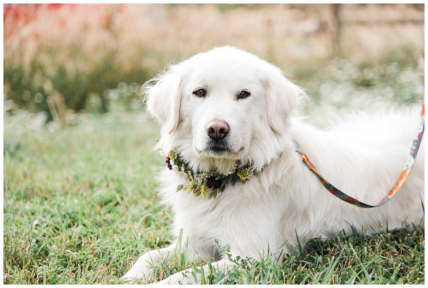 Gold_Hill_Inn_Wedding_Boulder_CO_Apollo_Fields_423.jpg