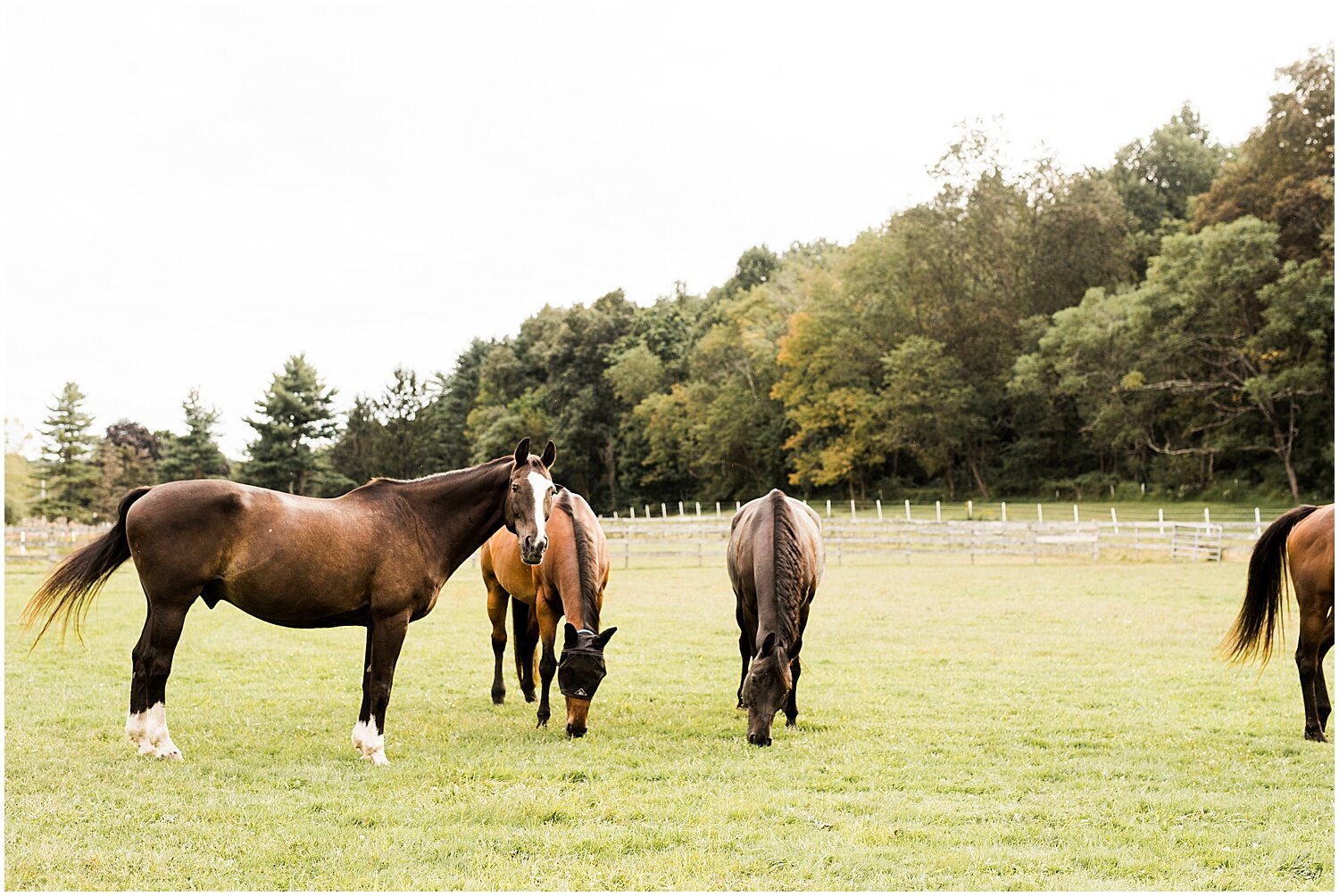 Farm-Weddings-Horse-Barn-Upstate-NY-Wedding-Photographer-Apollo-Fields-248.jpg