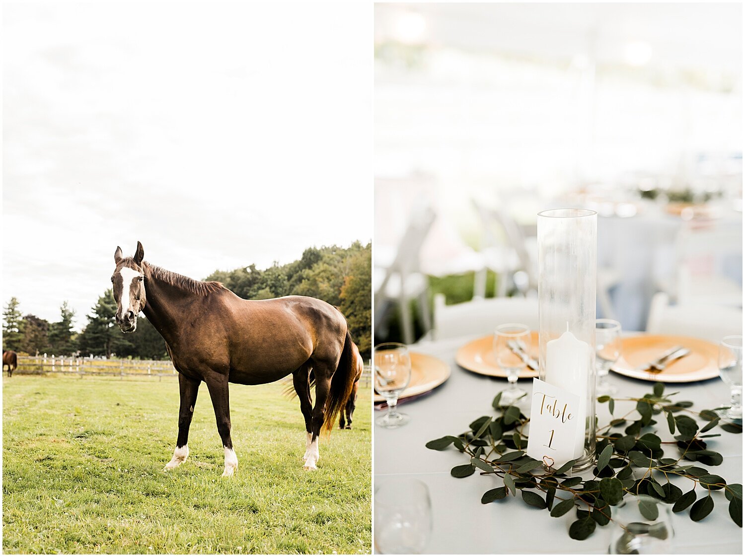 Farm-Weddings-Horse-Barn-Upstate-NY-Wedding-Photographer-Apollo-Fields-249.jpg