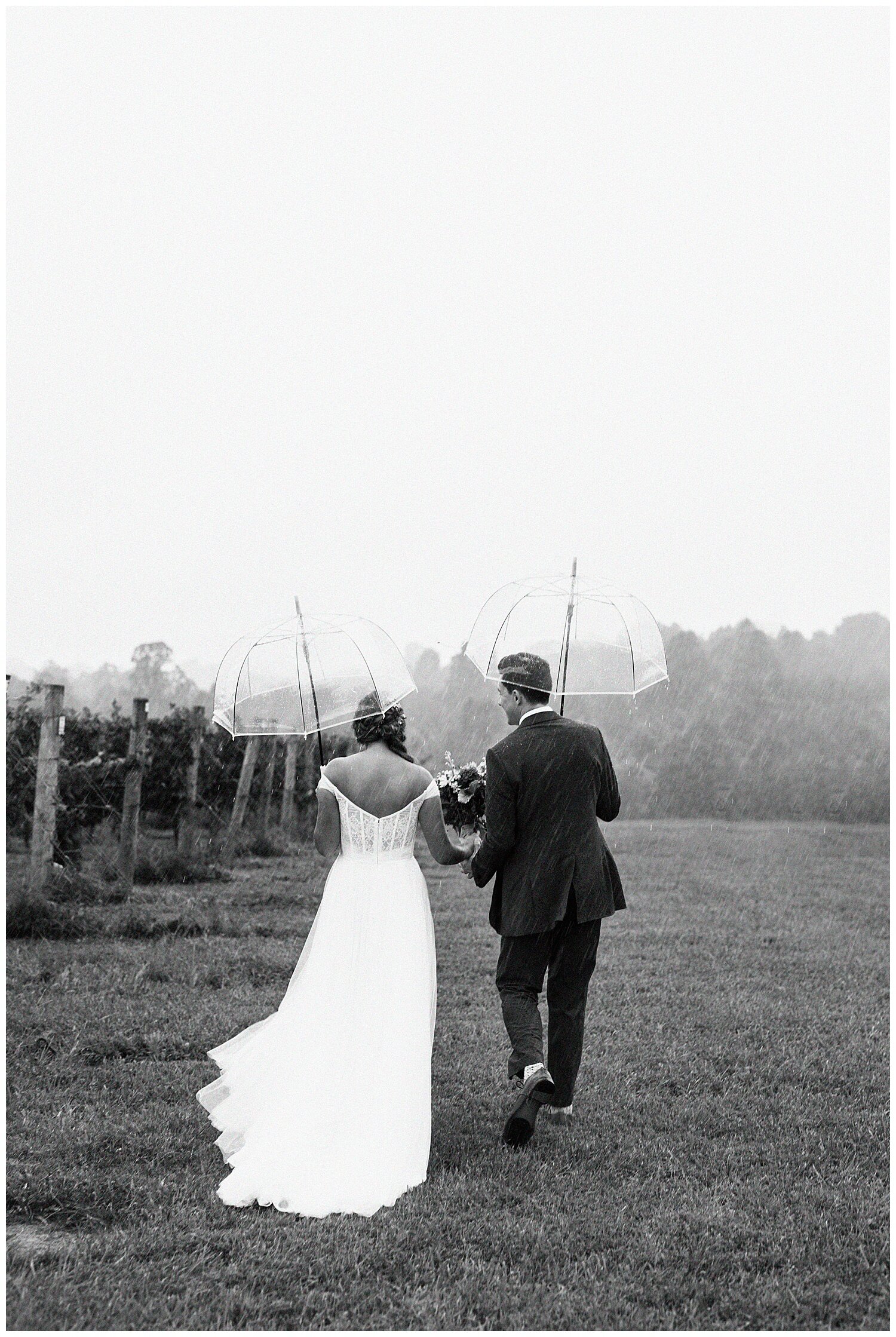 Round-Peak-Vineyards-Wedding-Photographer-Apollo-Fields-32.jpg