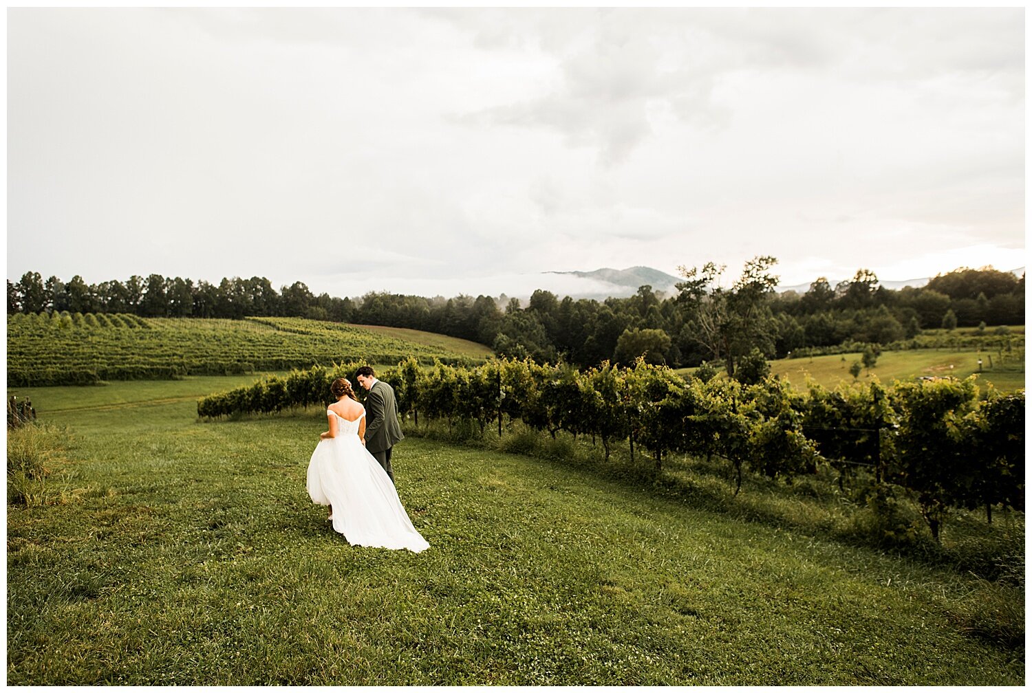Round-Peak-Vineyards-Wedding-Photographer-Apollo-Fields-49.jpg