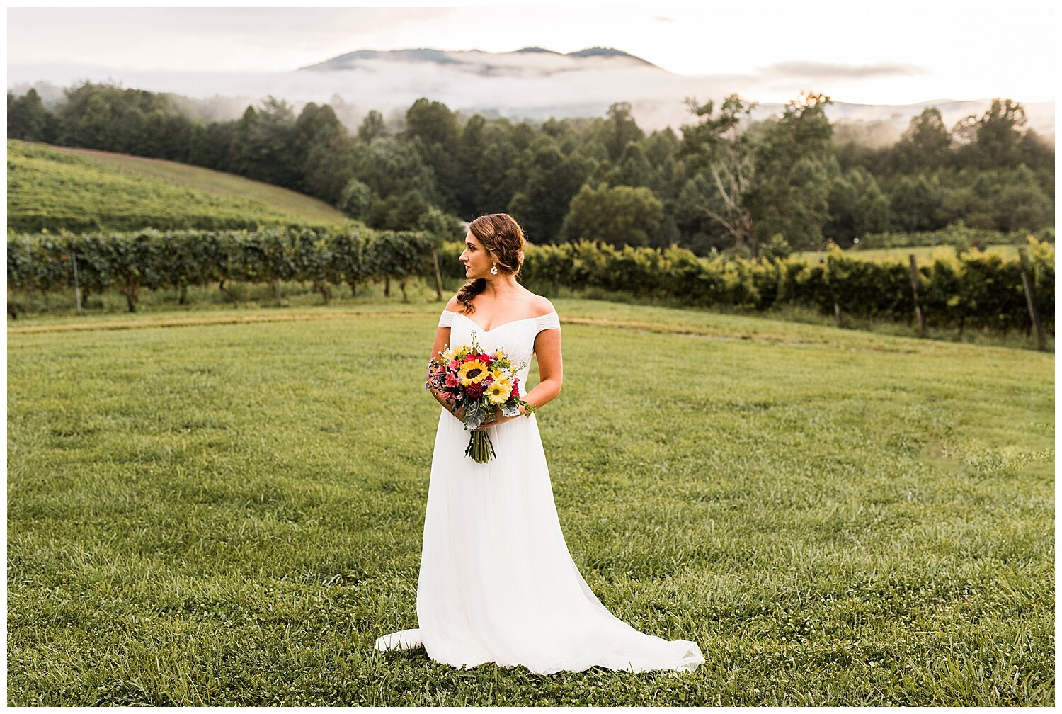 Round-Peak-Vineyards-Wedding-Photographer-Apollo-Fields-54.jpg