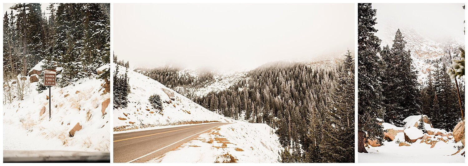 Pikes-Peak-Proposal-Colorado-Springs-Photography-Apollo-Fields-01.jpg