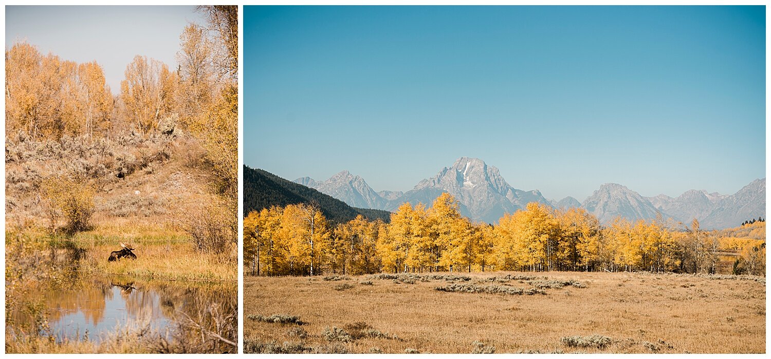 Grand-Tetons-Yellowstone-Elopement-Photography-Apollo-Fields-07.jpg