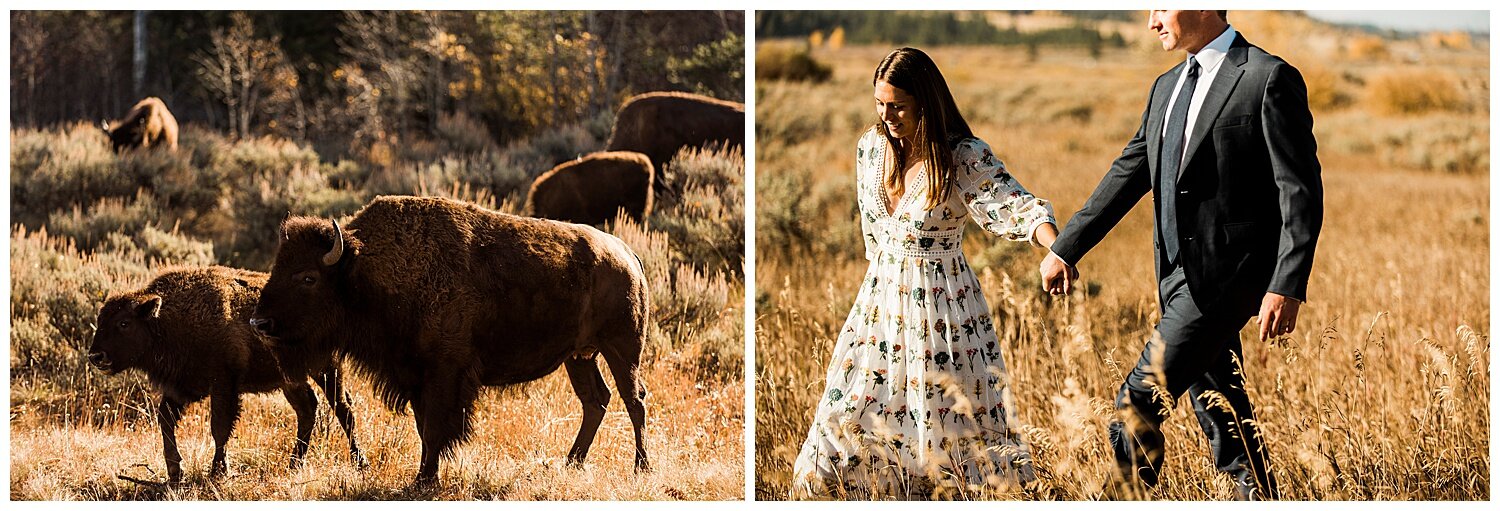 Grand-Tetons-Yellowstone-Elopement-Photography-Apollo-Fields-47.jpg