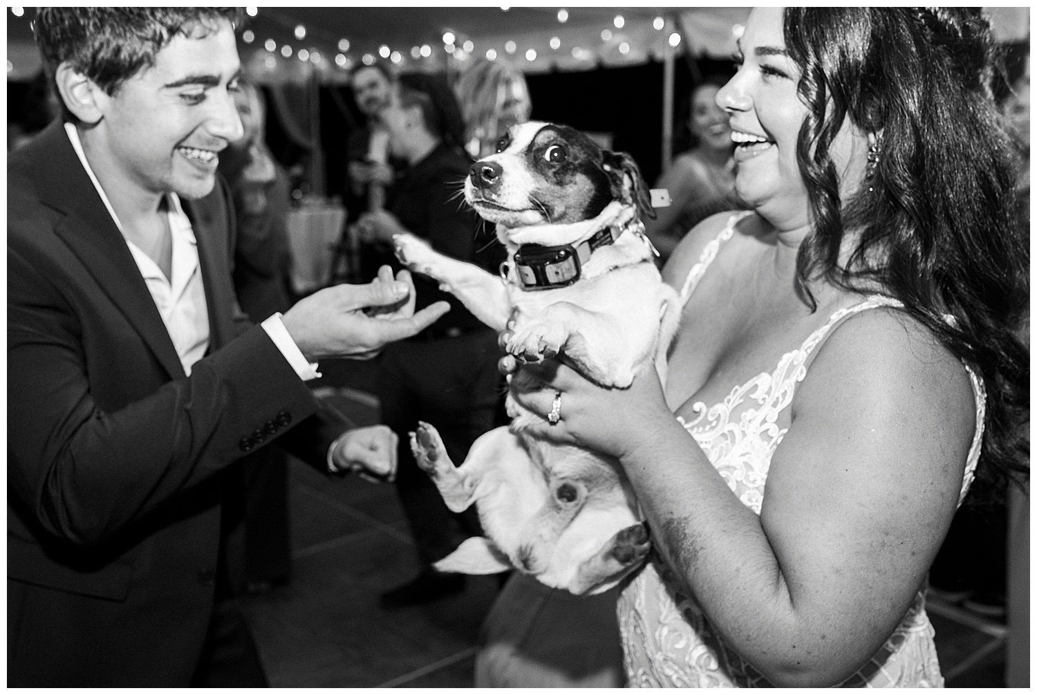 Glastonbury-CT-Barn-Wedding-The-Pines-Show-Farm-Apollo-Fields-Photography-102.jpg