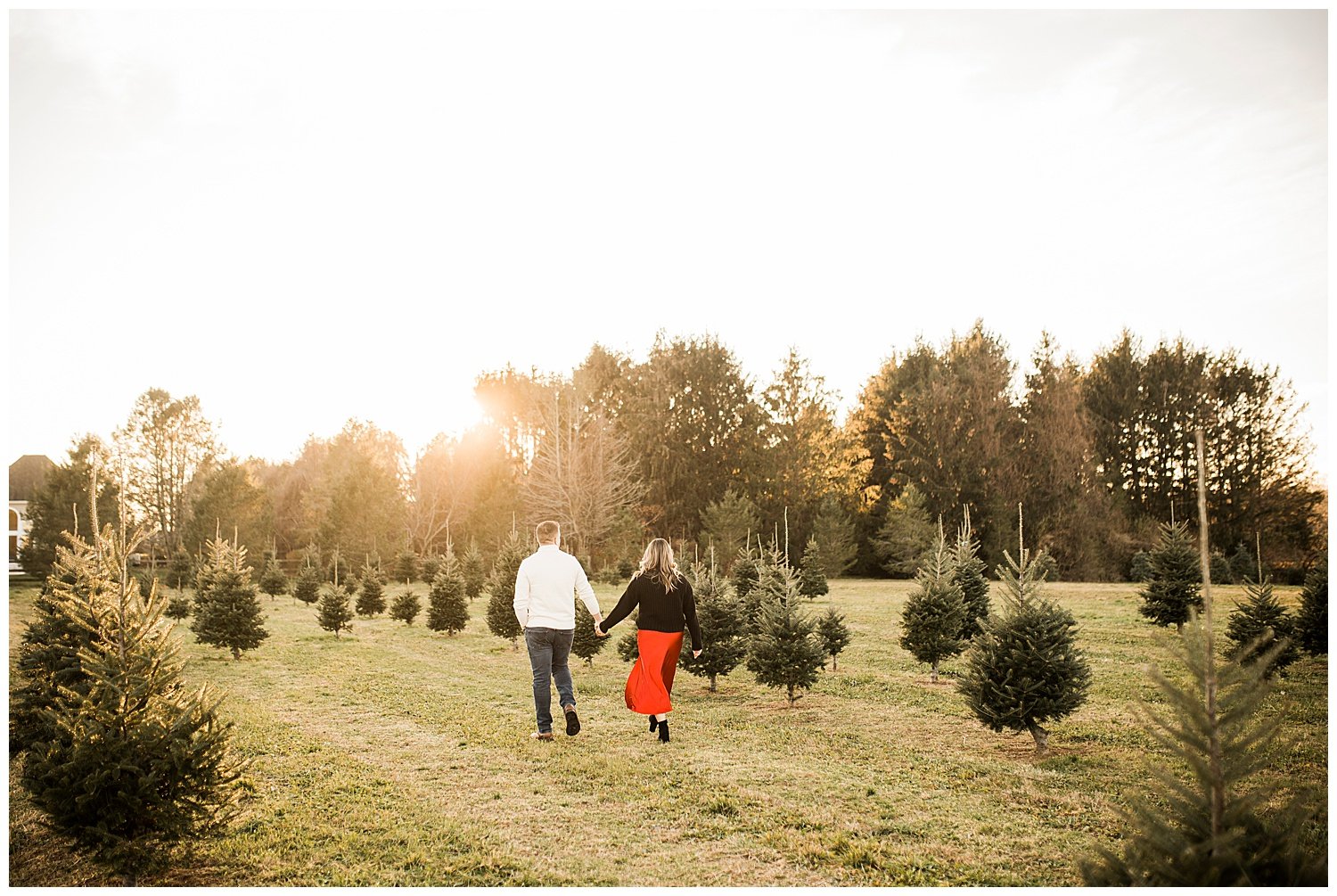 Santas-Christmas-Tree-Farm-Engagement-Photos-Apollo-Fields-Greenport-NY-12.jpg