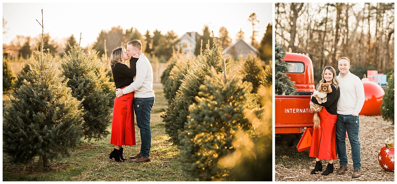 Santas-Christmas-Tree-Farm-Engagement-Photos-Apollo-Fields-Greenport-NY-16.jpg