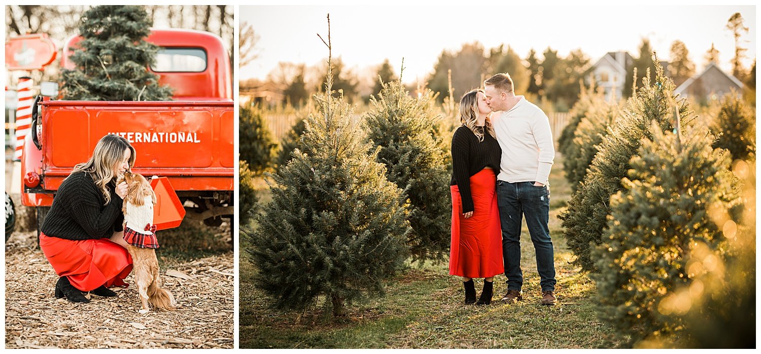 Santas-Christmas-Tree-Farm-Engagement-Photos-Apollo-Fields-Greenport-NY-17.jpg